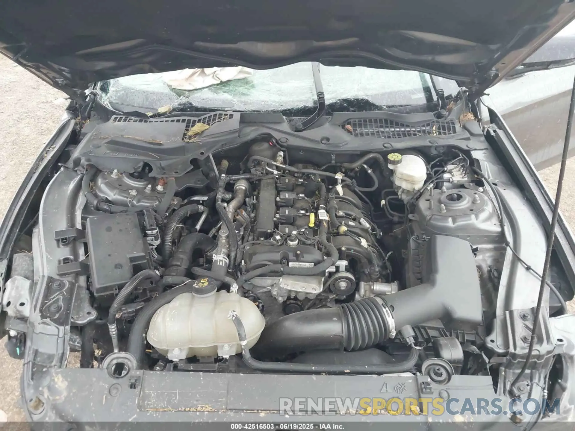 10 Photograph of a damaged car 1FA6P8TH5N5150143 FORD MUSTANG 2022