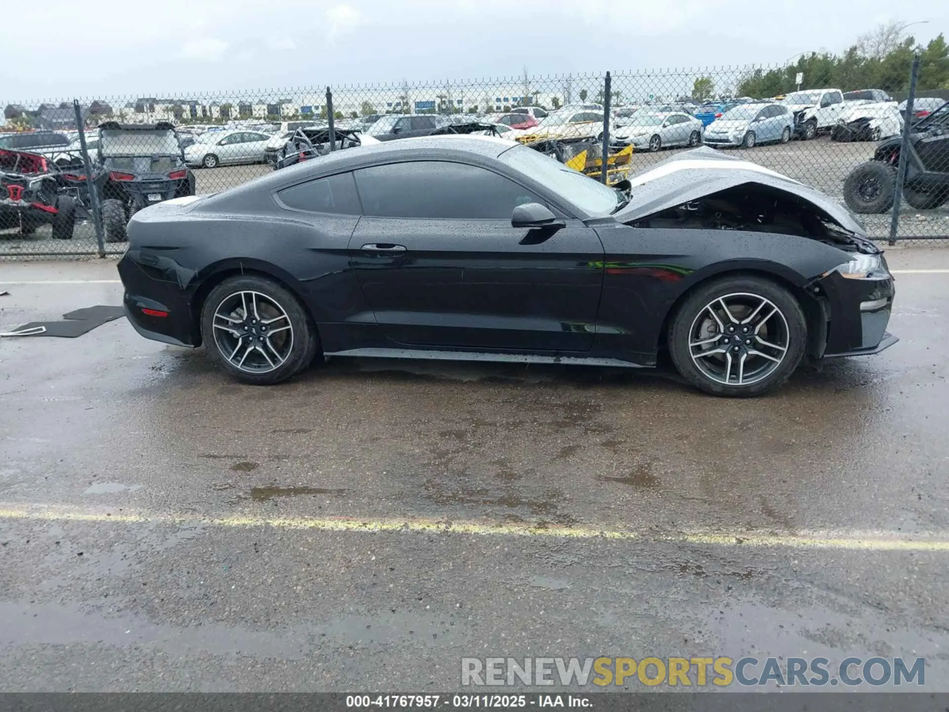 13 Photograph of a damaged car 1FA6P8TH9N5136276 FORD MUSTANG 2022