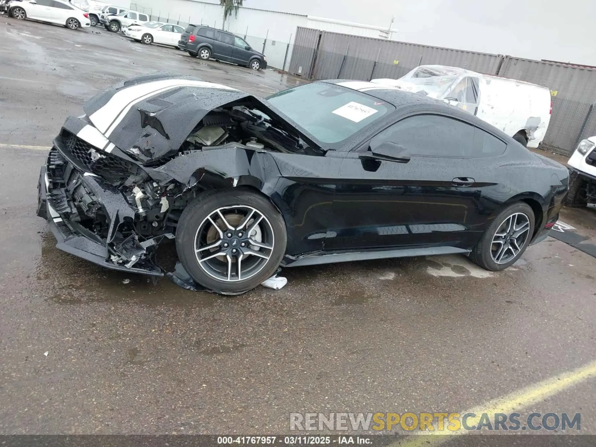 14 Photograph of a damaged car 1FA6P8TH9N5136276 FORD MUSTANG 2022