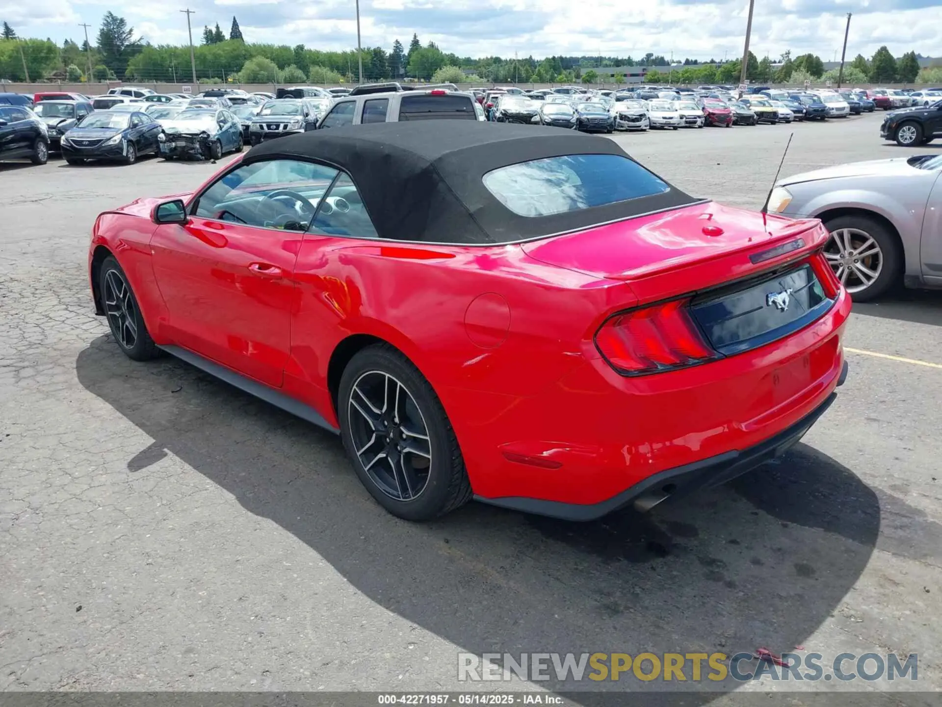 3 Photograph of a damaged car 1FATP8UH2N5124679 FORD MUSTANG 2022