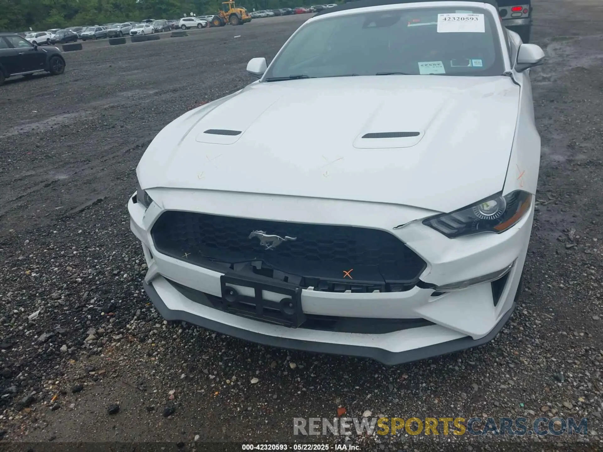 12 Photograph of a damaged car 1FATP8UH3N5104988 FORD MUSTANG 2022