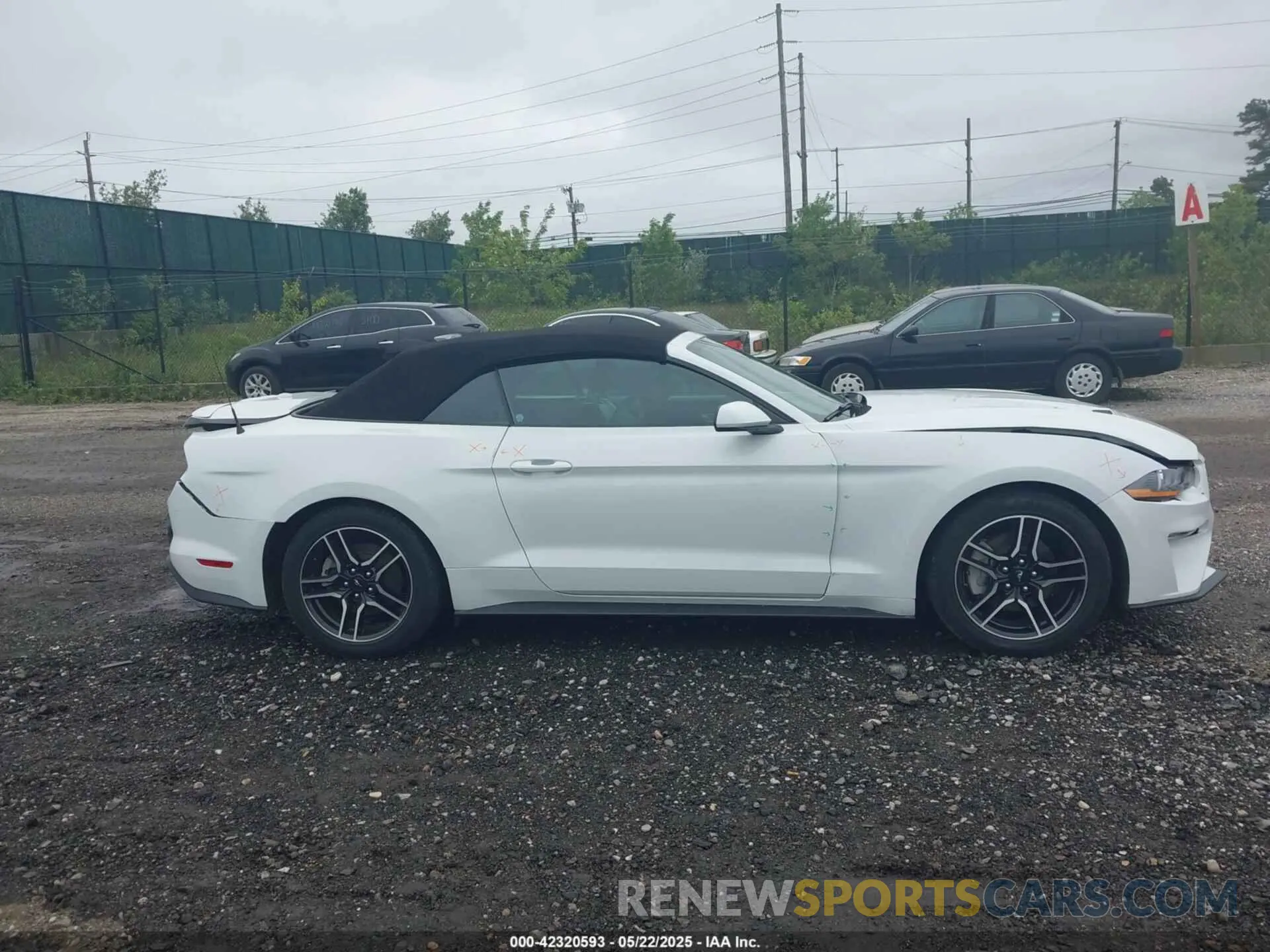 13 Photograph of a damaged car 1FATP8UH3N5104988 FORD MUSTANG 2022