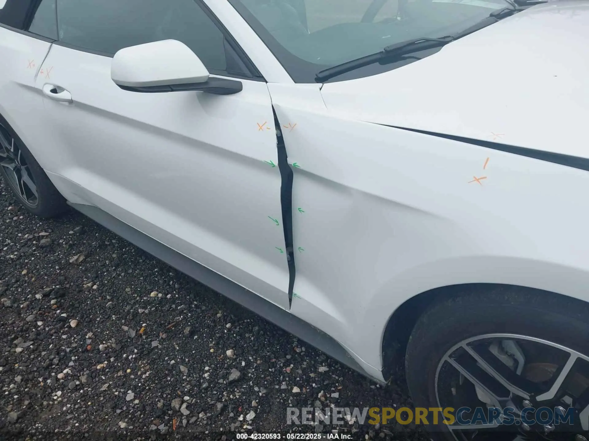 19 Photograph of a damaged car 1FATP8UH3N5104988 FORD MUSTANG 2022