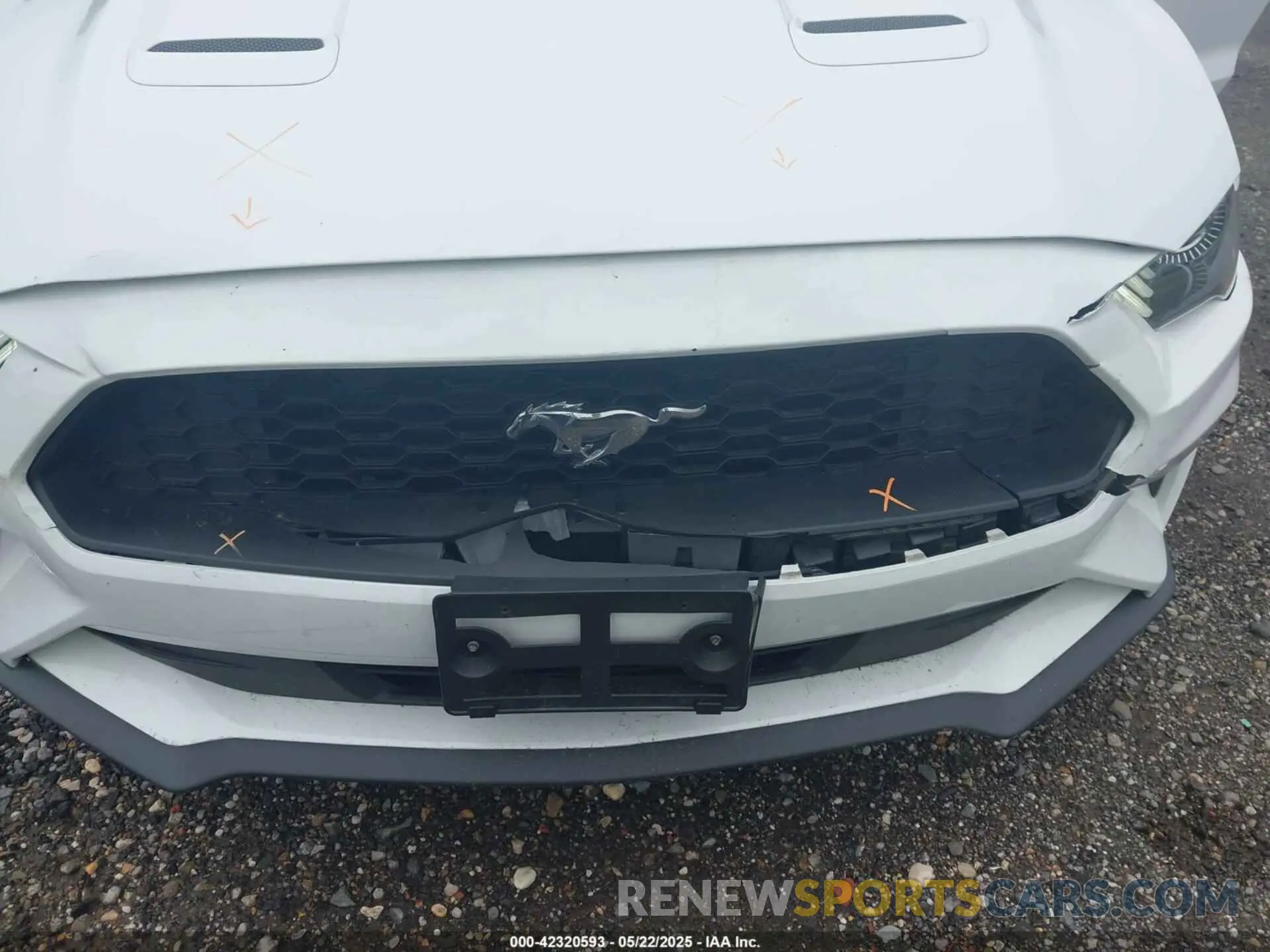20 Photograph of a damaged car 1FATP8UH3N5104988 FORD MUSTANG 2022