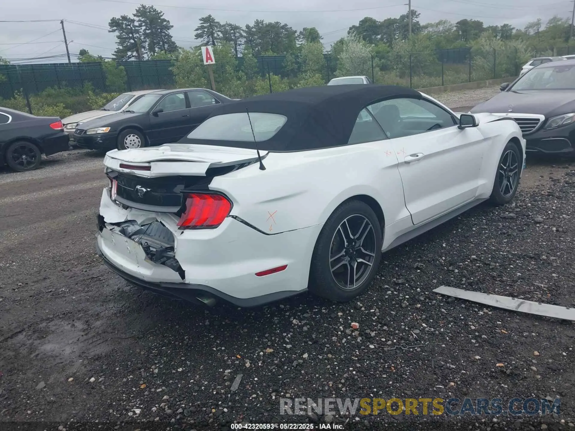 4 Photograph of a damaged car 1FATP8UH3N5104988 FORD MUSTANG 2022