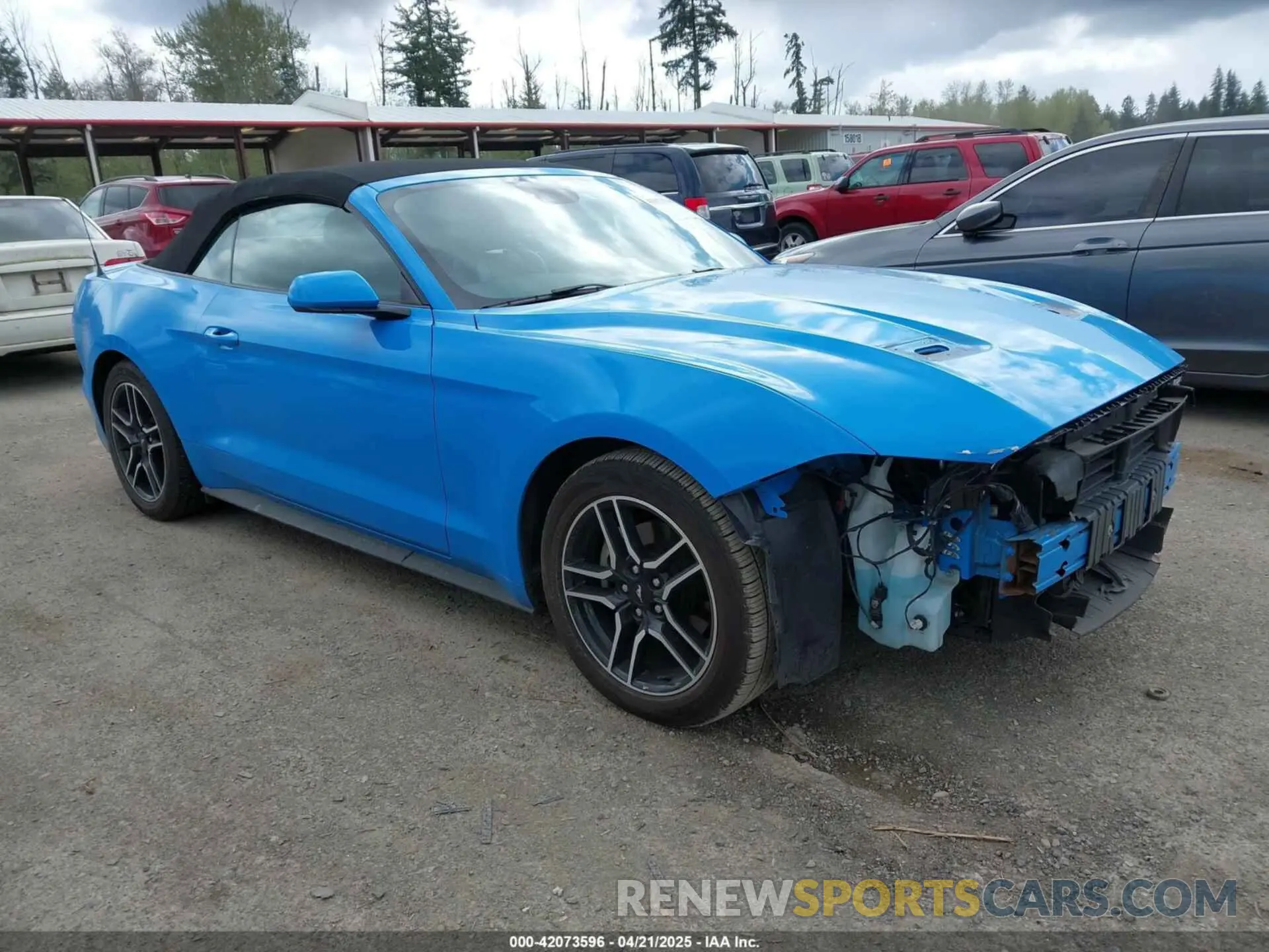 1 Photograph of a damaged car 1FATP8UH3N5124691 FORD MUSTANG 2022