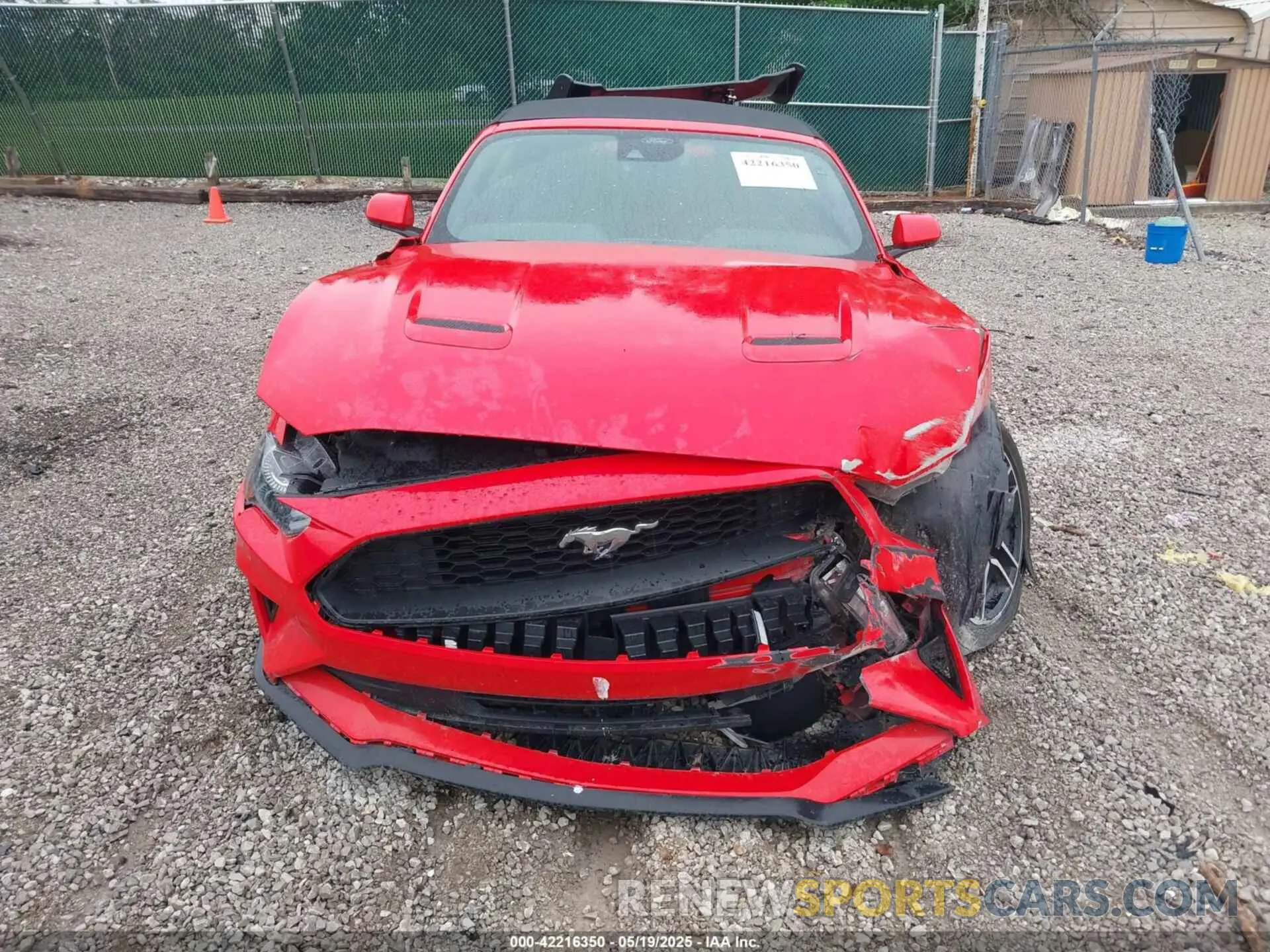 12 Photograph of a damaged car 1FATP8UH5N5115670 FORD MUSTANG 2022