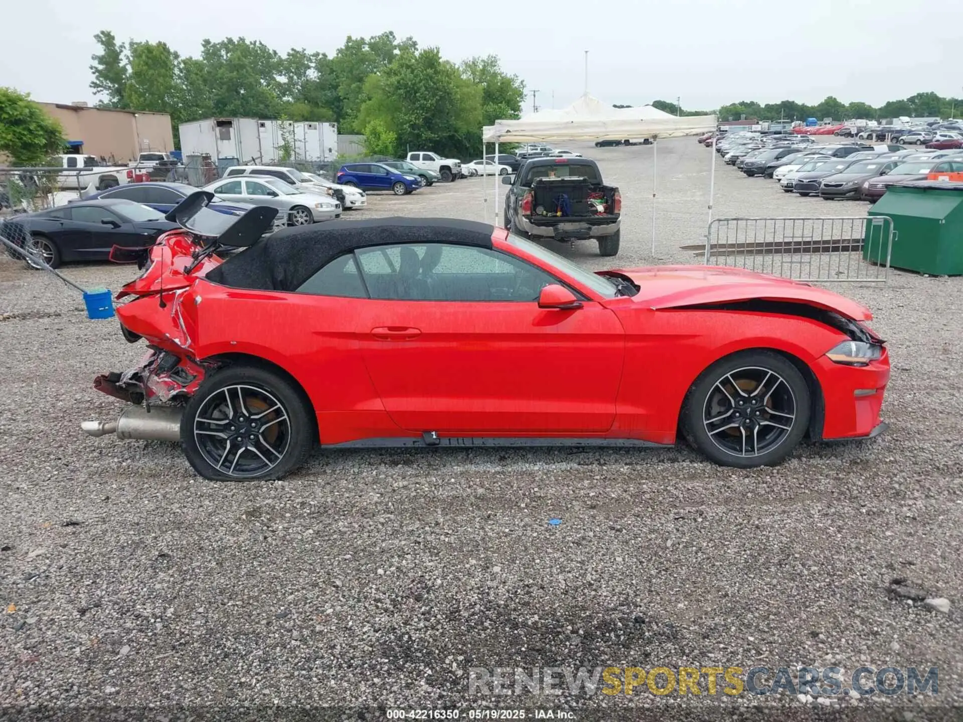 13 Photograph of a damaged car 1FATP8UH5N5115670 FORD MUSTANG 2022