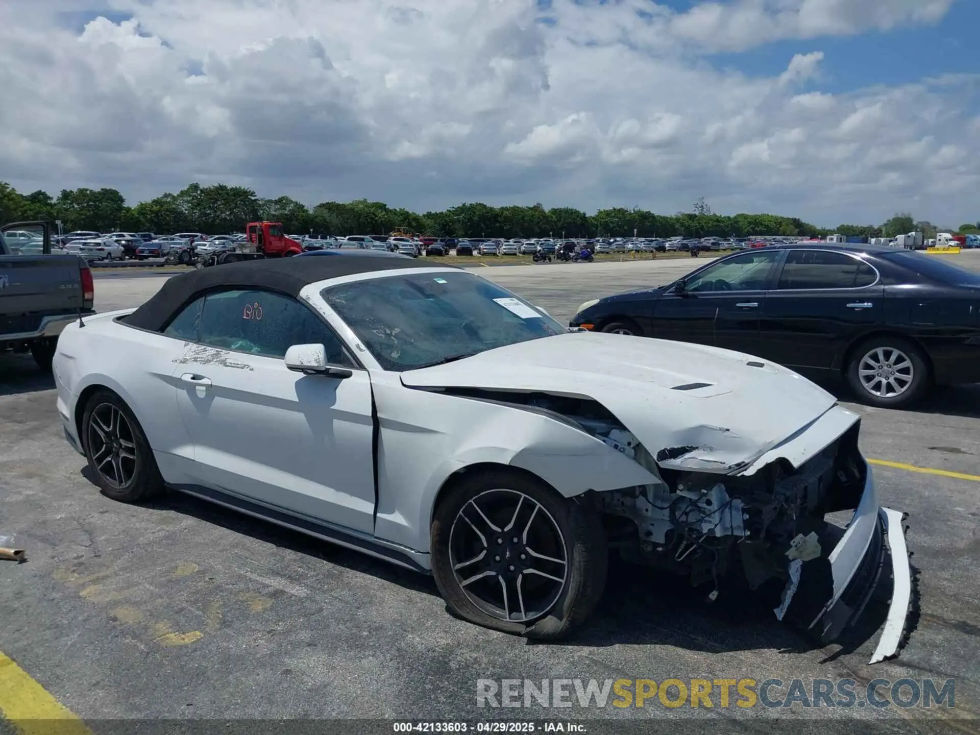 1 Photograph of a damaged car 1FATP8UH6N5106301 FORD MUSTANG 2022