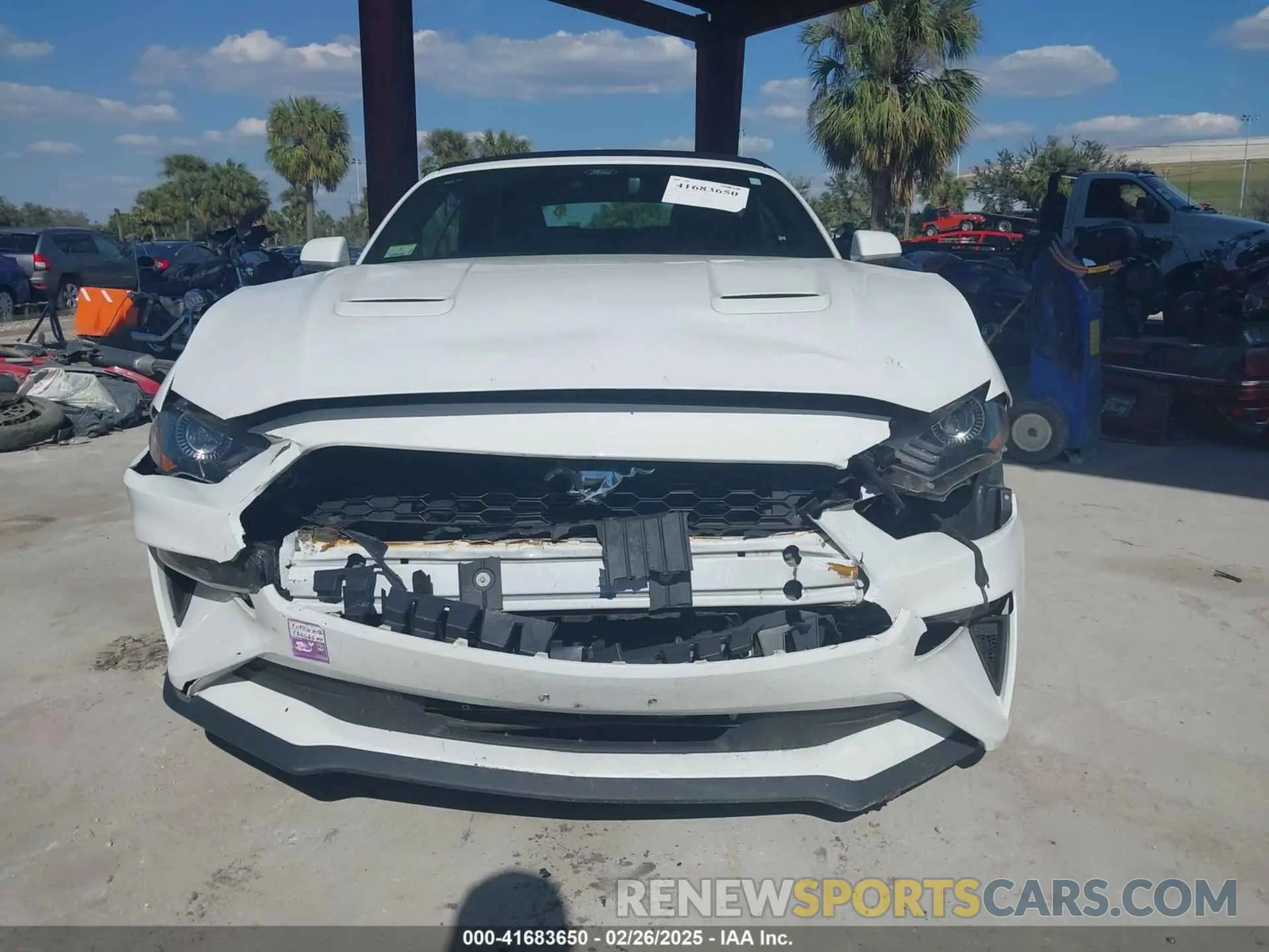 11 Photograph of a damaged car 1FATP8UH6N5107464 FORD MUSTANG 2022
