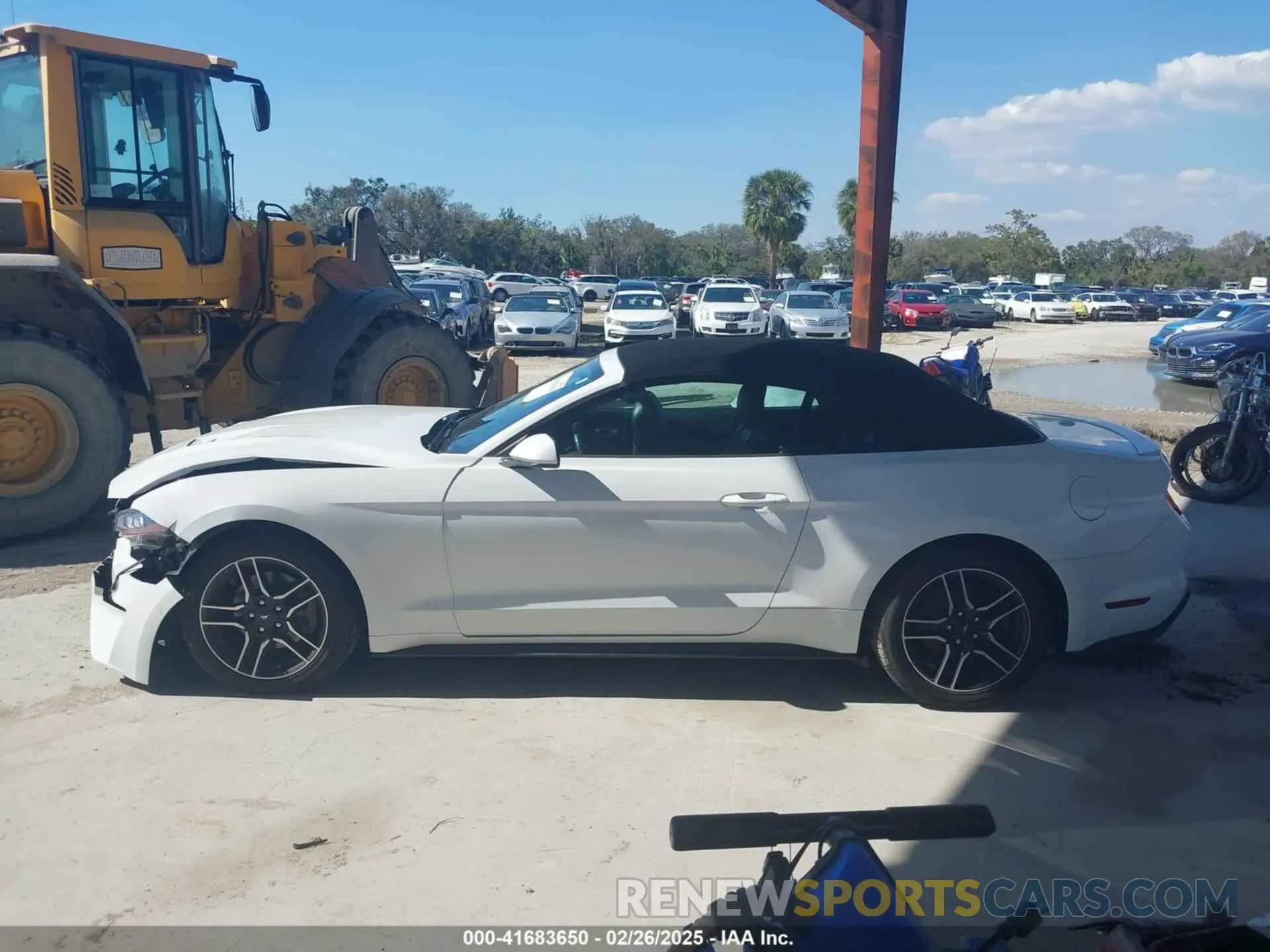 13 Photograph of a damaged car 1FATP8UH6N5107464 FORD MUSTANG 2022