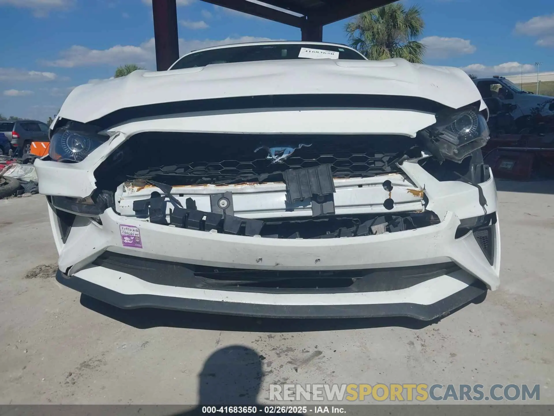 17 Photograph of a damaged car 1FATP8UH6N5107464 FORD MUSTANG 2022