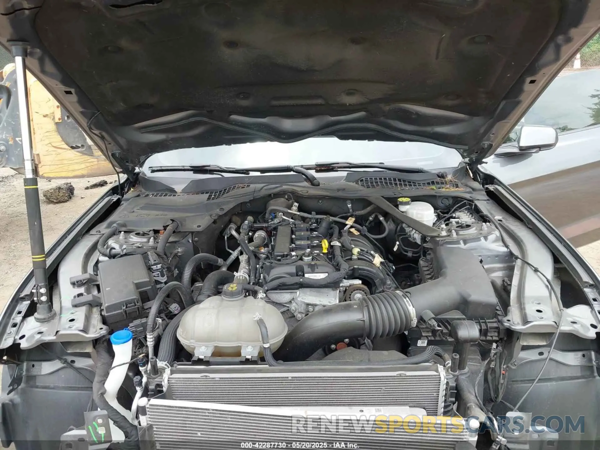 10 Photograph of a damaged car 1FATP8UH8N5106560 FORD MUSTANG 2022