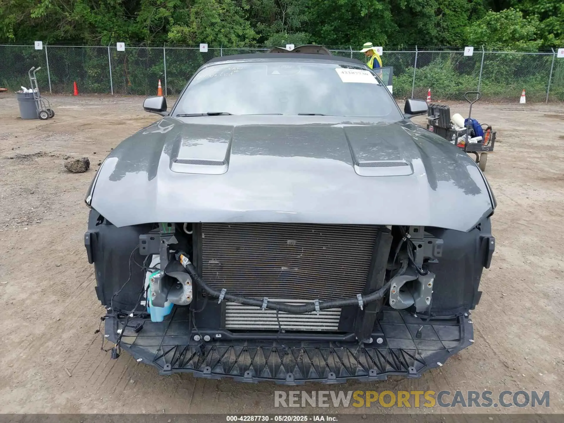 13 Photograph of a damaged car 1FATP8UH8N5106560 FORD MUSTANG 2022