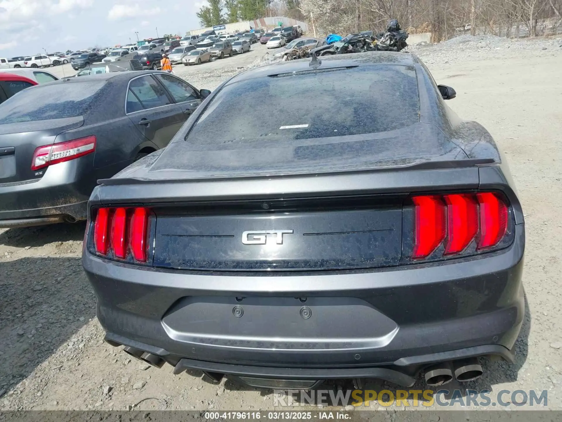 16 Photograph of a damaged car 1FA6P8CF1P5301691 FORD MUSTANG 2023
