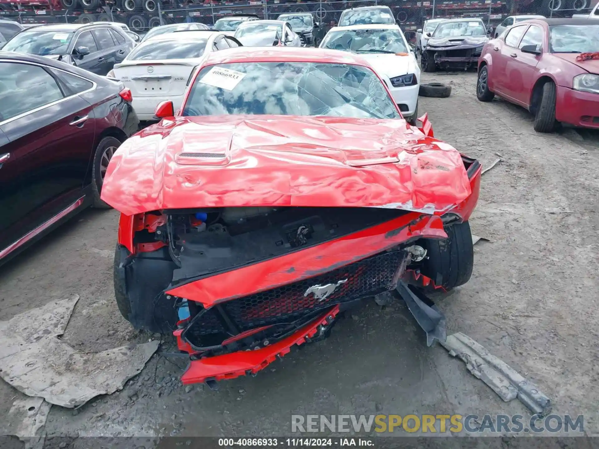 12 Photograph of a damaged car 1FA6P8CF6P5301931 FORD MUSTANG 2023