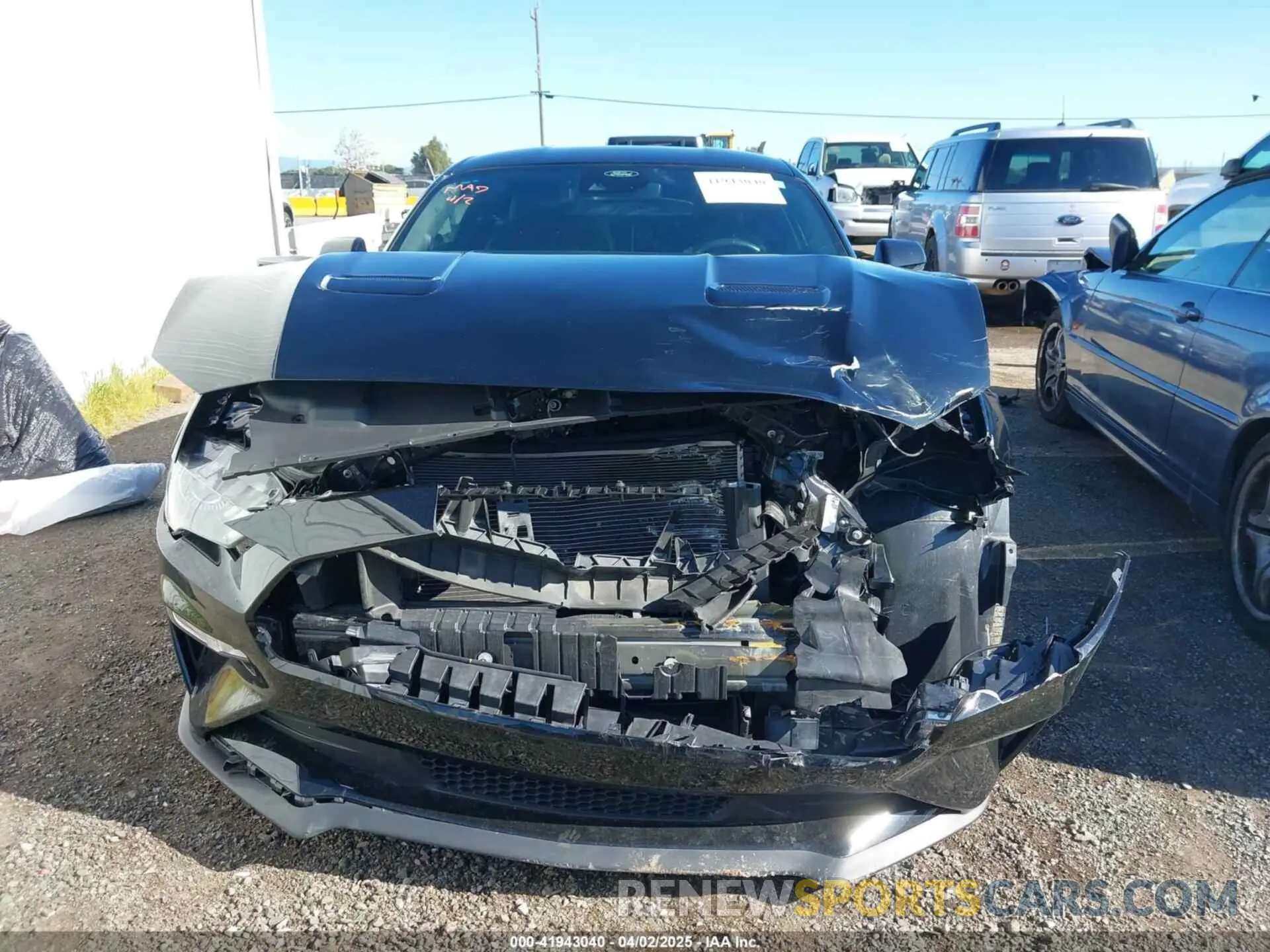 13 Photograph of a damaged car 1FA6P8CF6P5302934 FORD MUSTANG 2023