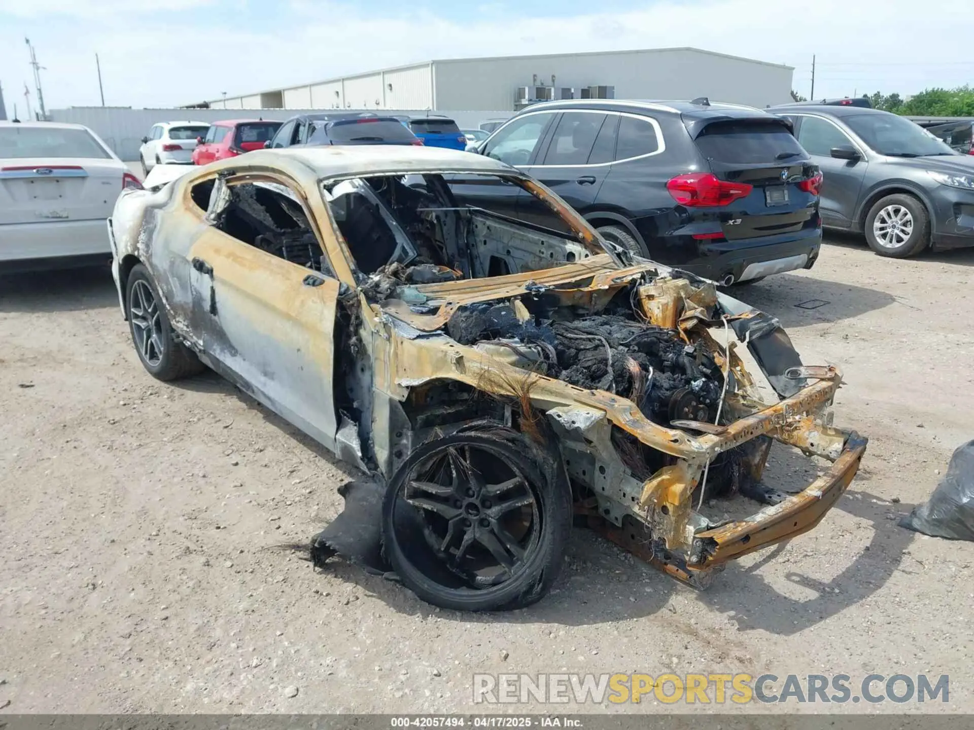 1 Photograph of a damaged car 1FA6P8CF6P5303050 FORD MUSTANG 2023