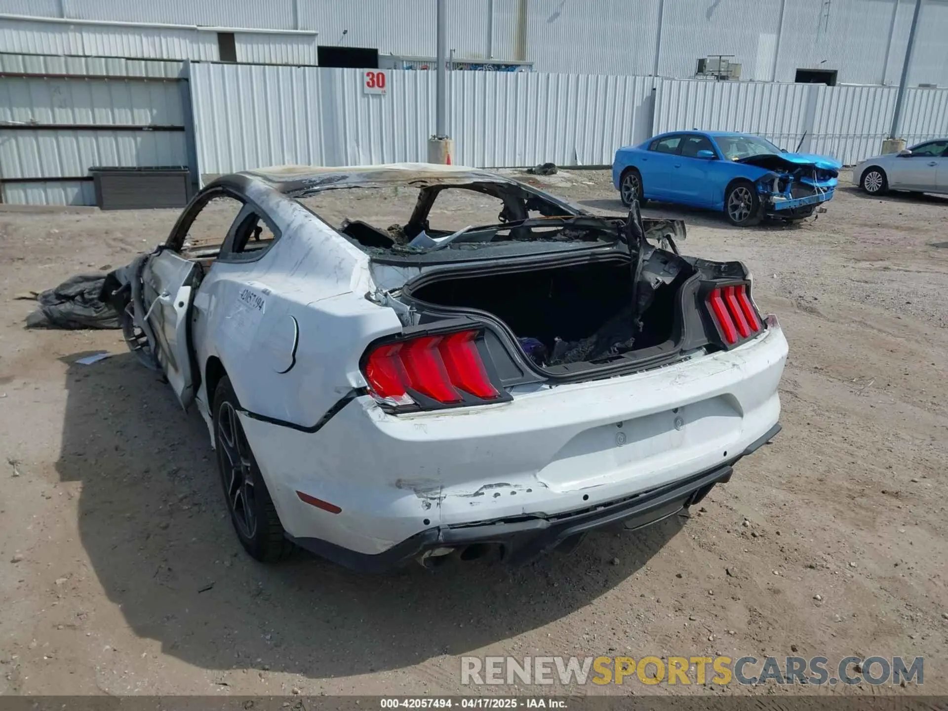 3 Photograph of a damaged car 1FA6P8CF6P5303050 FORD MUSTANG 2023