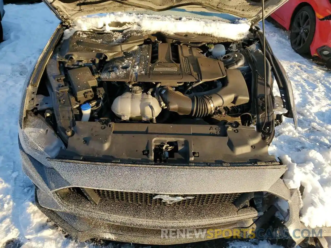 11 Photograph of a damaged car 1FA6P8CF6P5305249 FORD MUSTANG 2023