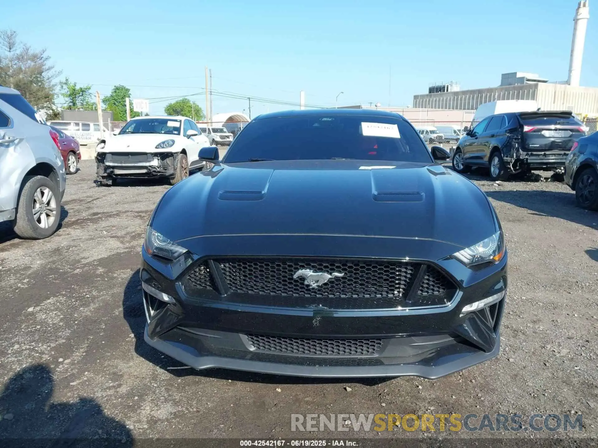 12 Photograph of a damaged car 1FA6P8CF7P5307236 FORD MUSTANG 2023