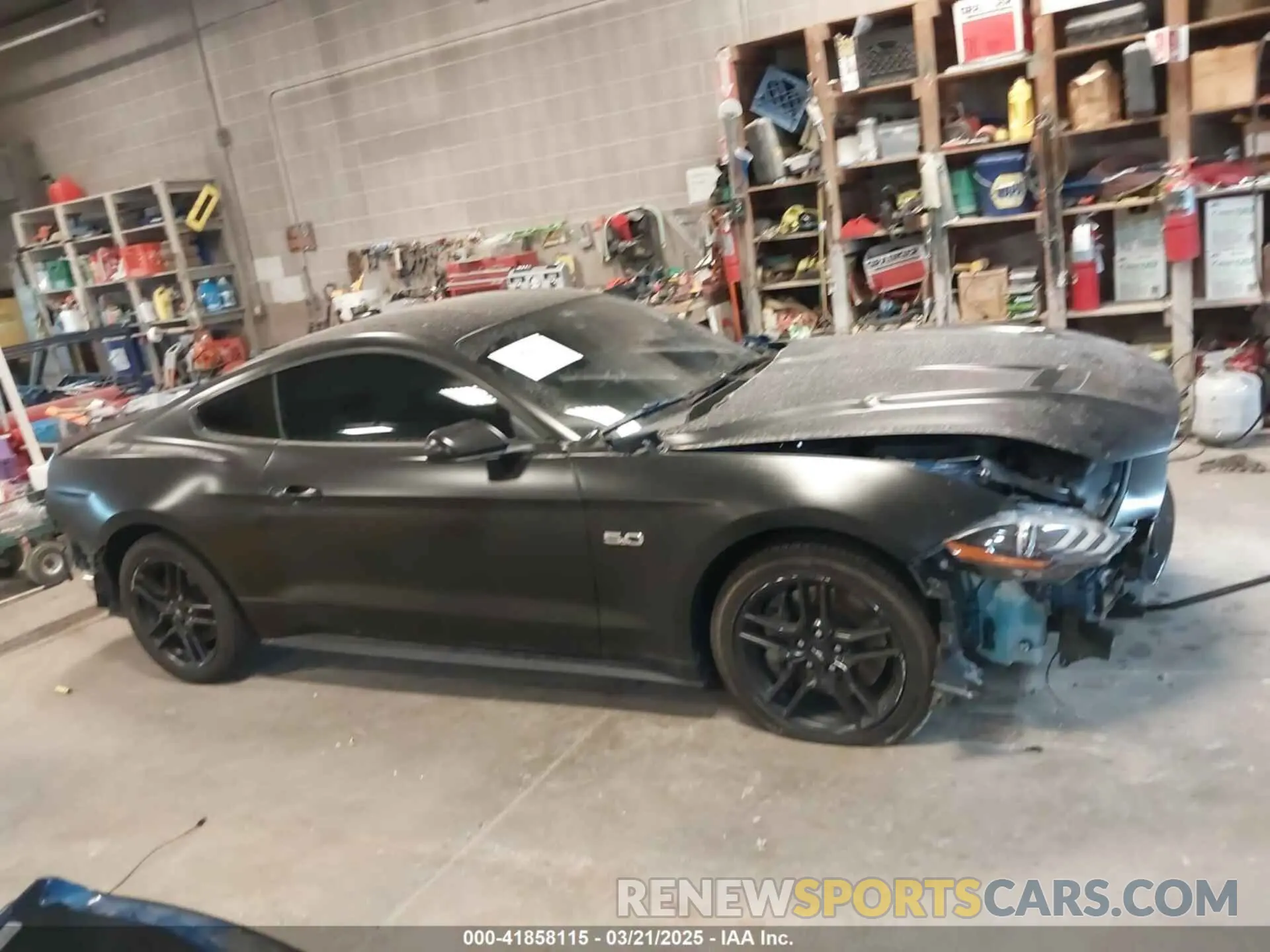 14 Photograph of a damaged car 1FA6P8CF8P5305334 FORD MUSTANG 2023
