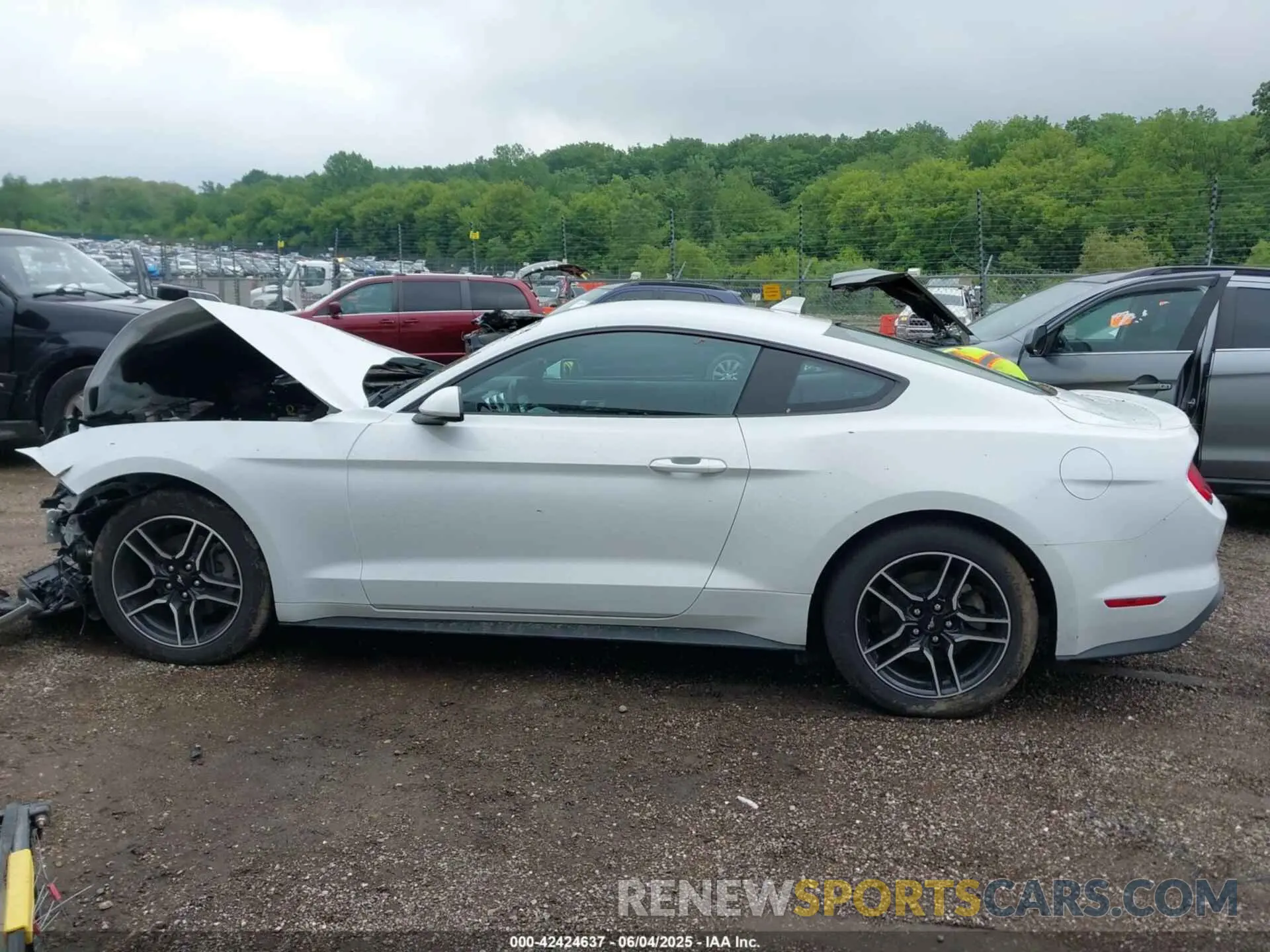 15 Photograph of a damaged car 1FA6P8TH4P5102314 FORD MUSTANG 2023