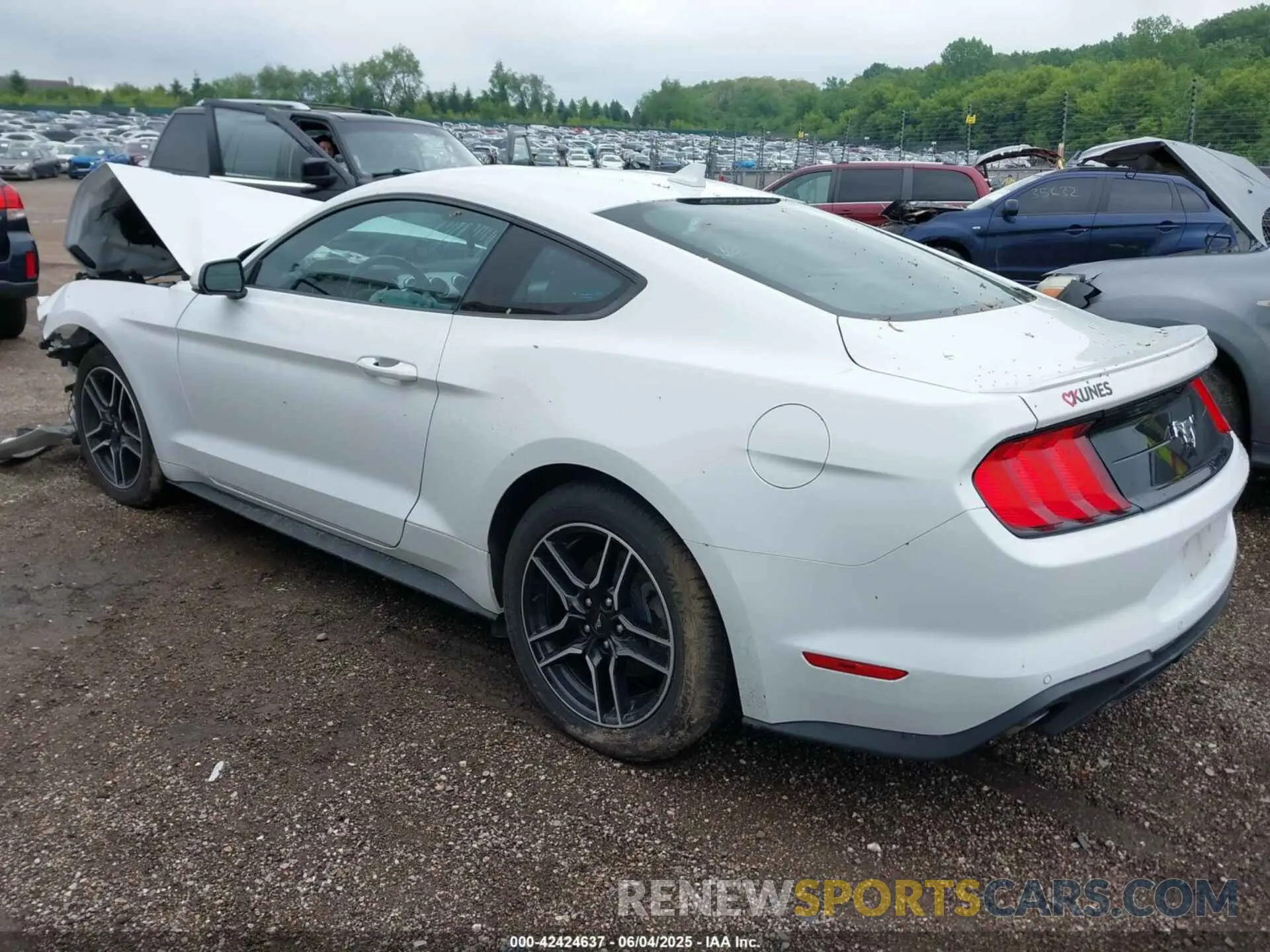 3 Photograph of a damaged car 1FA6P8TH4P5102314 FORD MUSTANG 2023