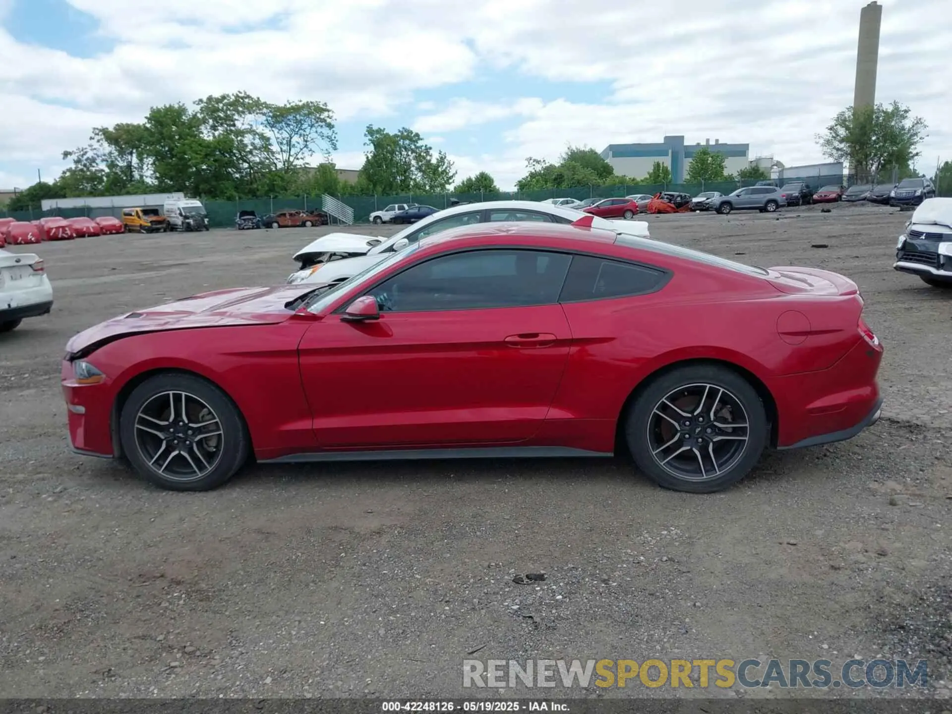 13 Photograph of a damaged car 1FA6P8TH8P5101375 FORD MUSTANG 2023