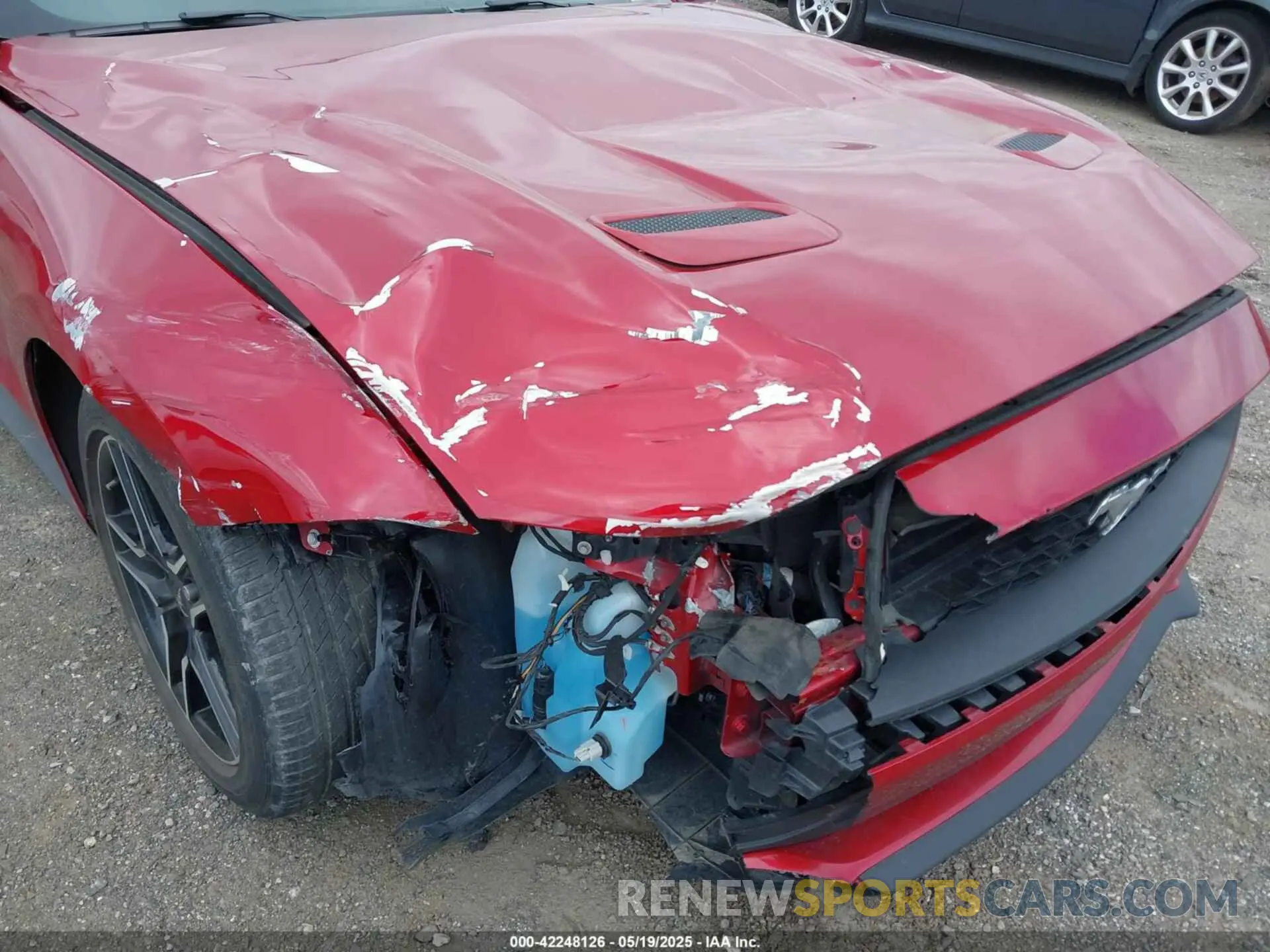 17 Photograph of a damaged car 1FA6P8TH8P5101375 FORD MUSTANG 2023