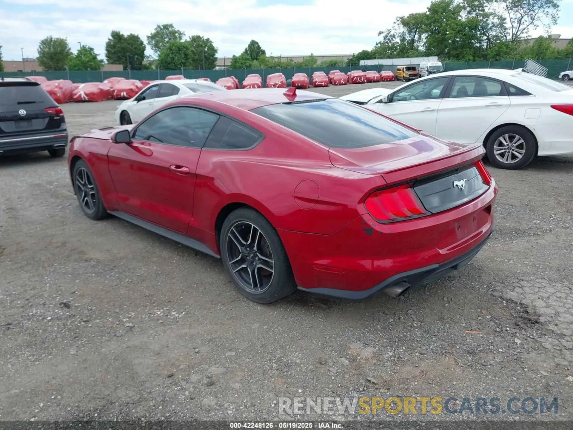 3 Photograph of a damaged car 1FA6P8TH8P5101375 FORD MUSTANG 2023