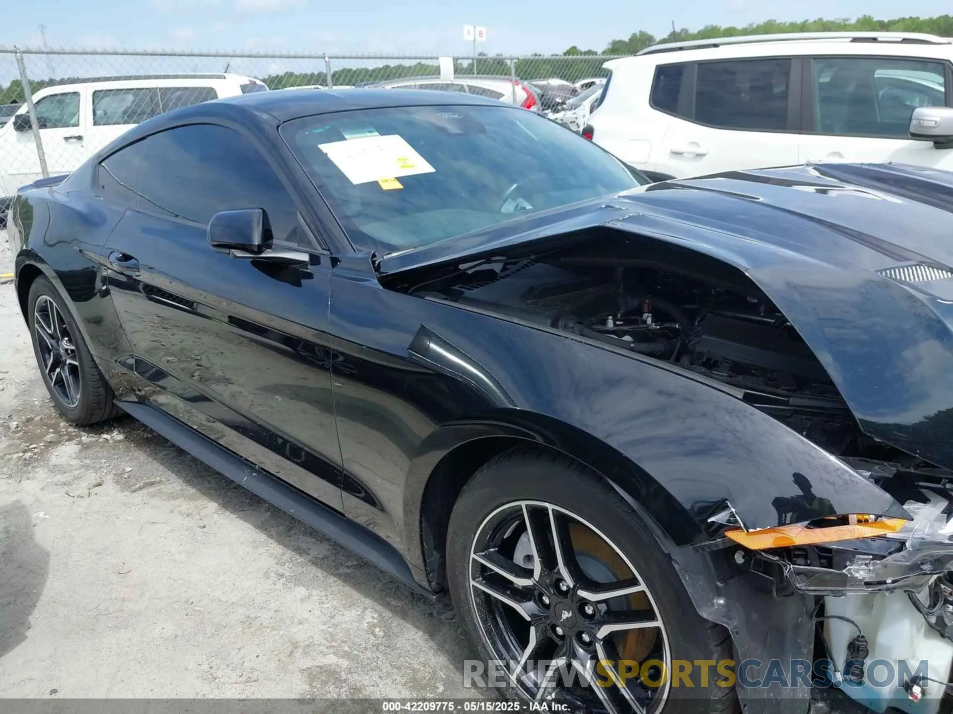 13 Photograph of a damaged car 1FA6P8TH8P5109735 FORD MUSTANG 2023