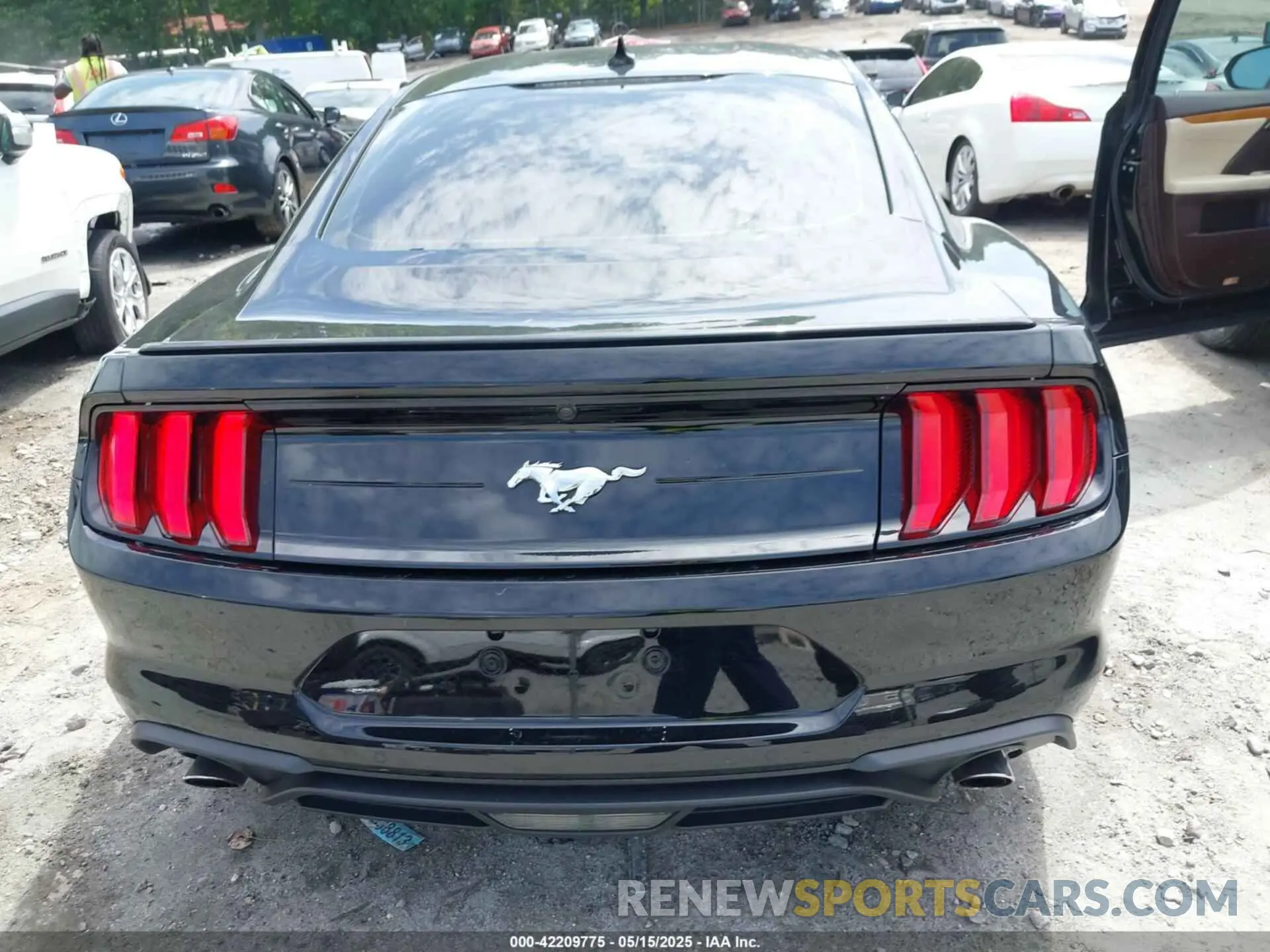 16 Photograph of a damaged car 1FA6P8TH8P5109735 FORD MUSTANG 2023