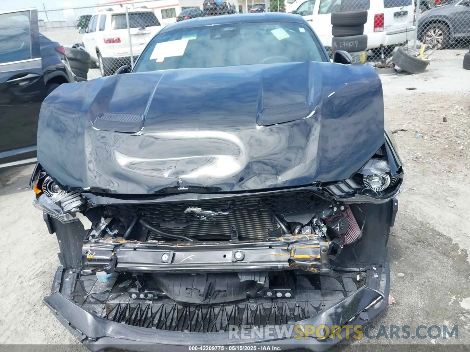 6 Photograph of a damaged car 1FA6P8TH8P5109735 FORD MUSTANG 2023