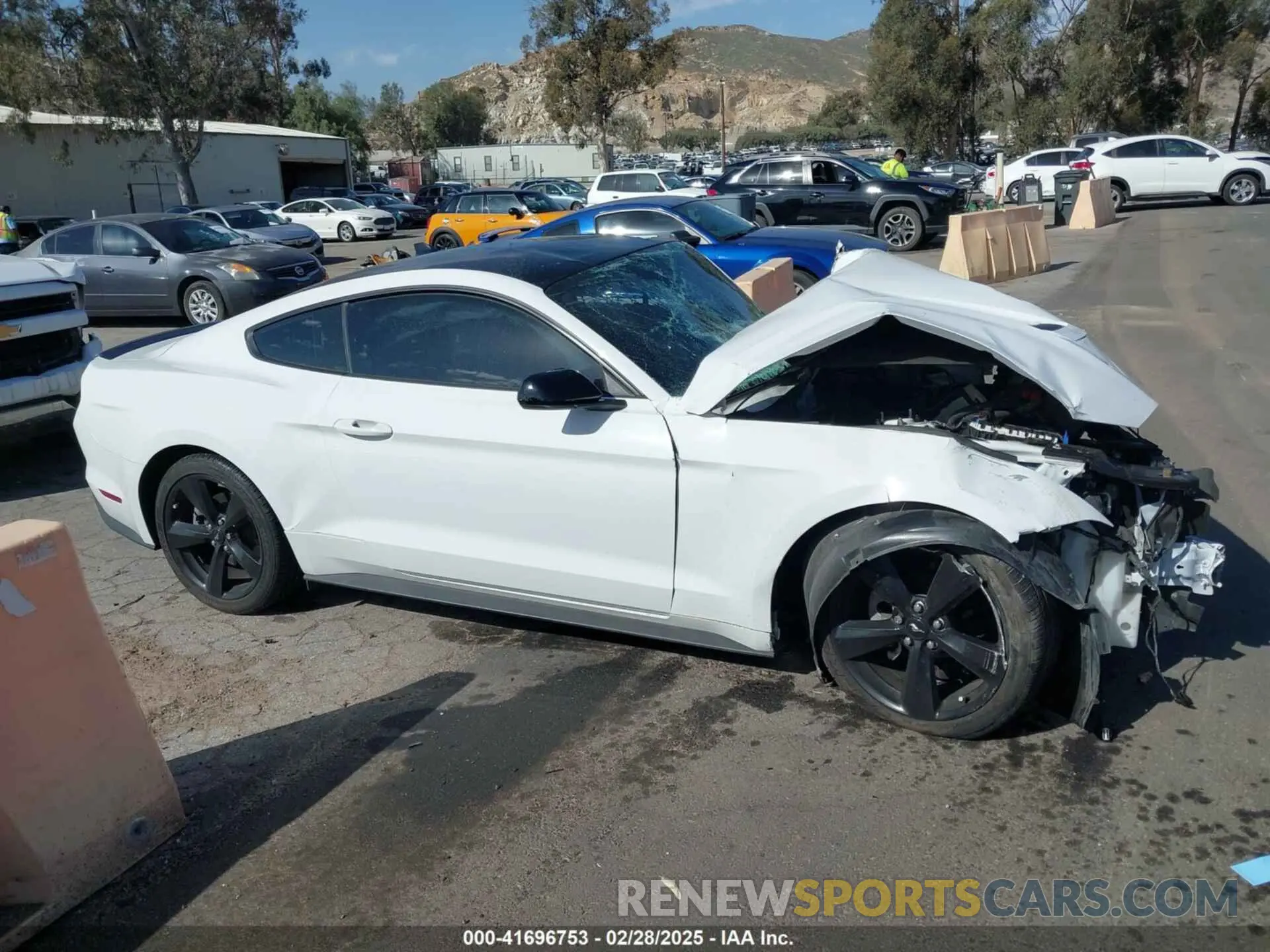 12 Photograph of a damaged car 1FA6P8THXP5101393 FORD MUSTANG 2023