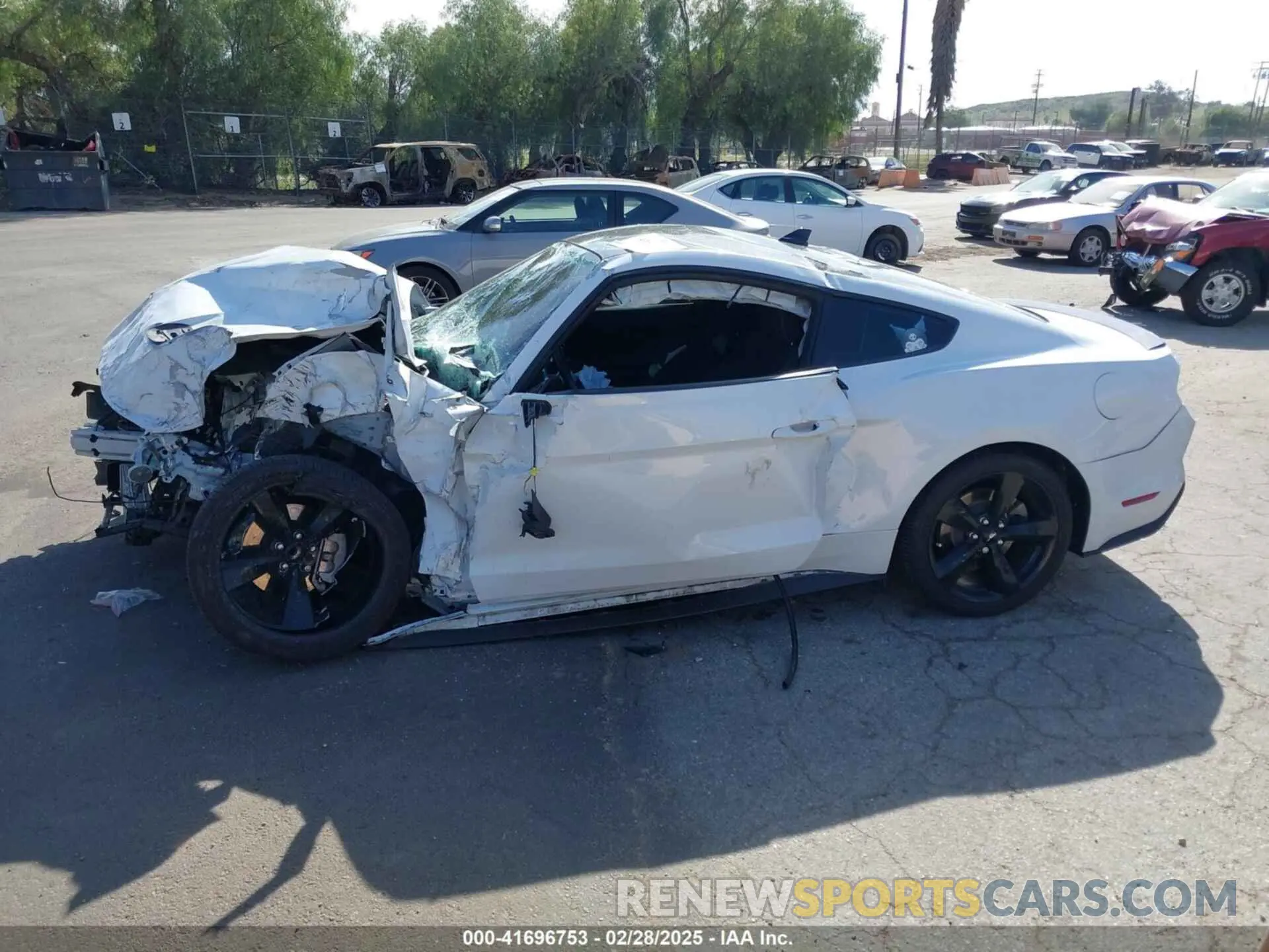 13 Photograph of a damaged car 1FA6P8THXP5101393 FORD MUSTANG 2023
