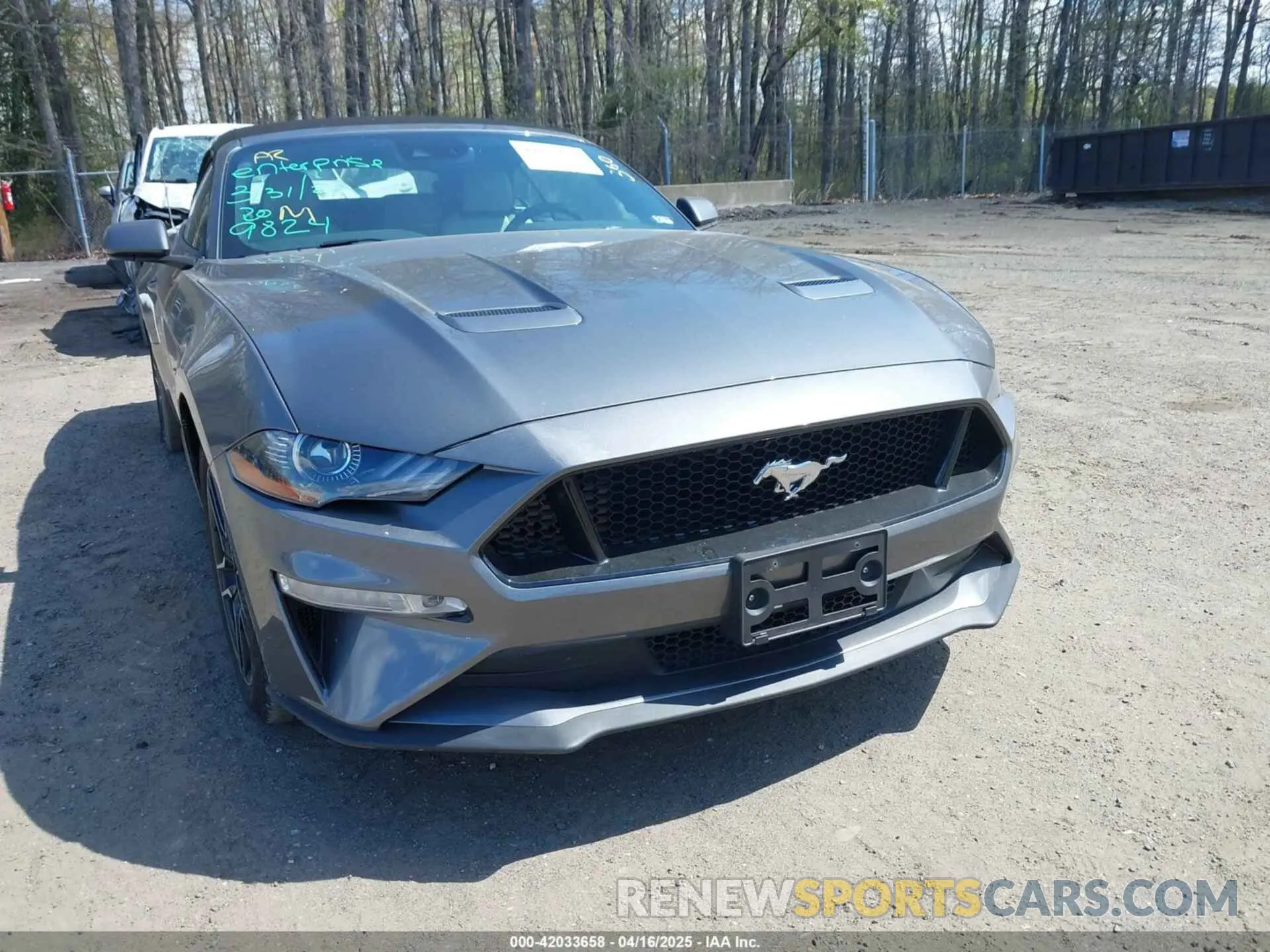 12 Photograph of a damaged car 1FATP8FF9P5104802 FORD MUSTANG 2023