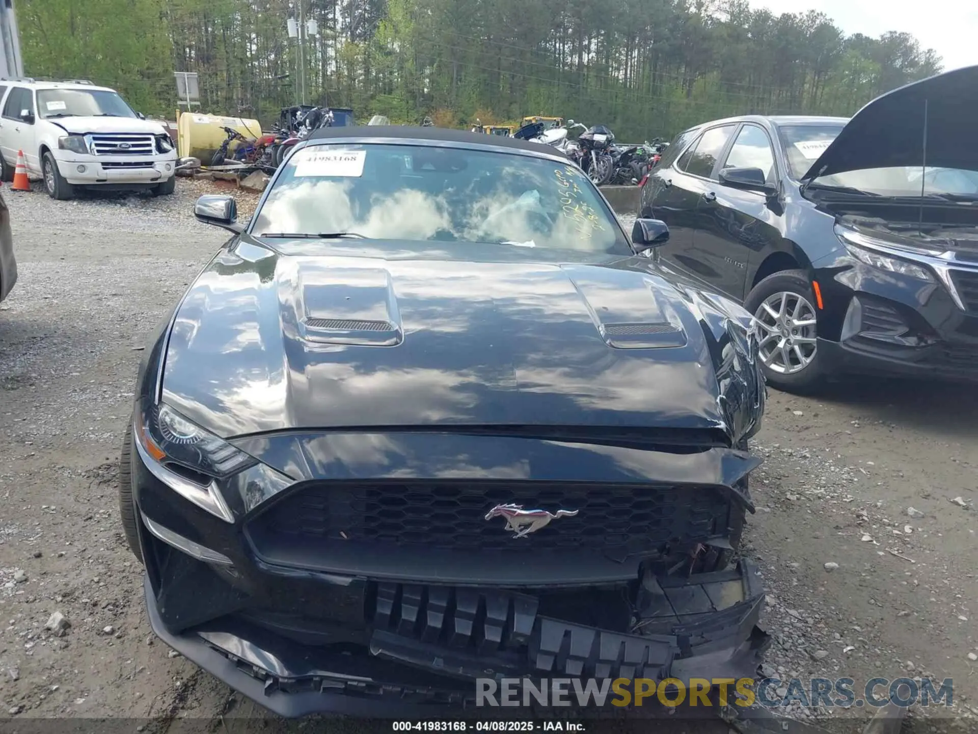 12 Photograph of a damaged car 1FATP8UH6P5105295 FORD MUSTANG 2023