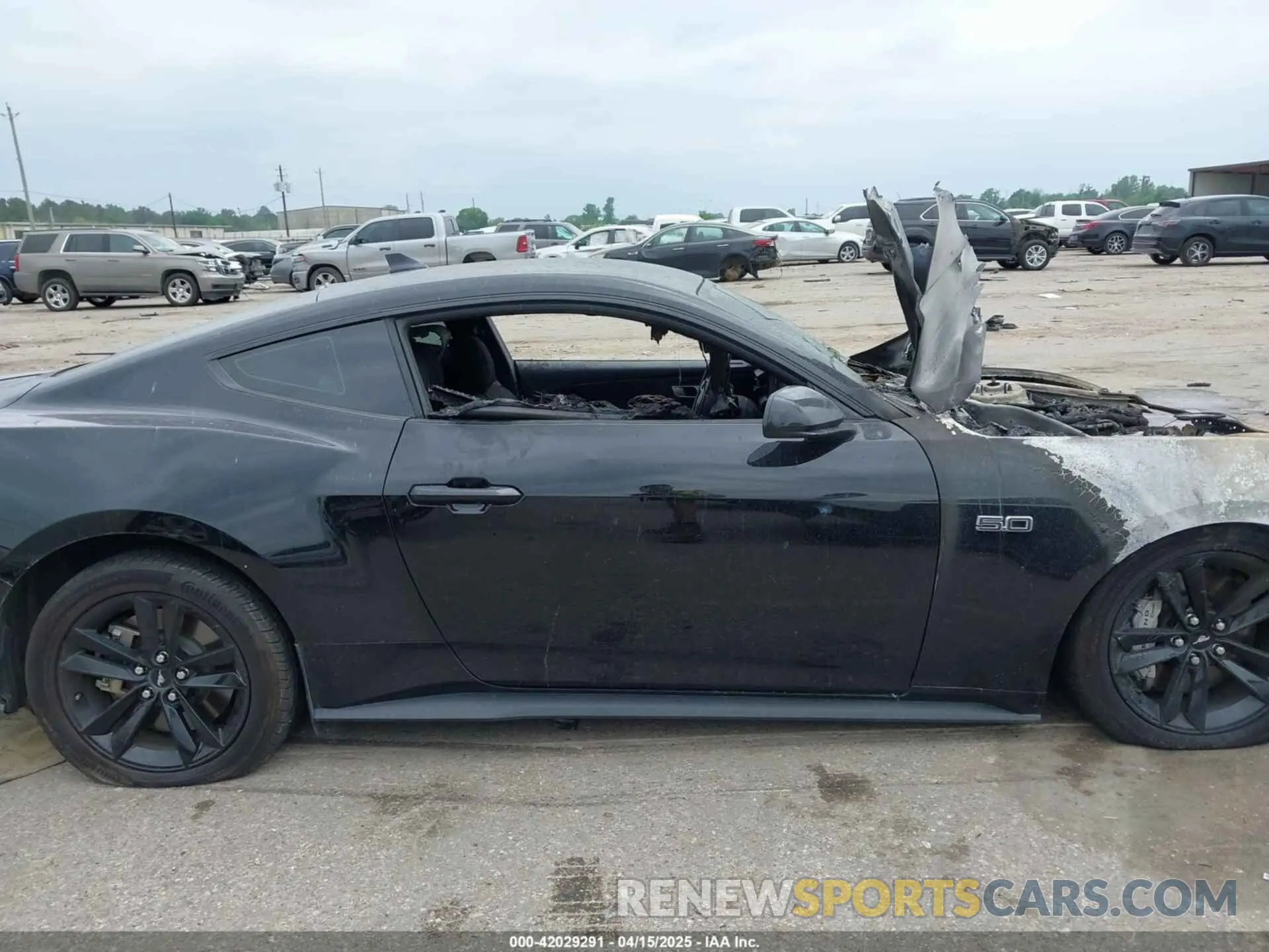 12 Photograph of a damaged car 1FA6P8CF0R5409089 FORD MUSTANG 2024