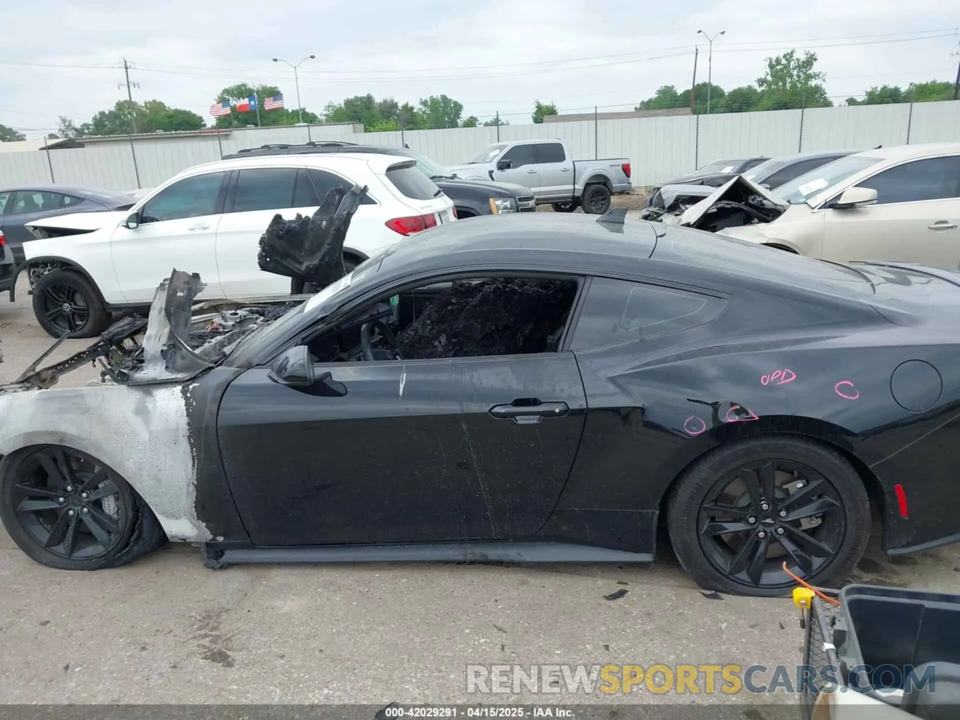 13 Photograph of a damaged car 1FA6P8CF0R5409089 FORD MUSTANG 2024