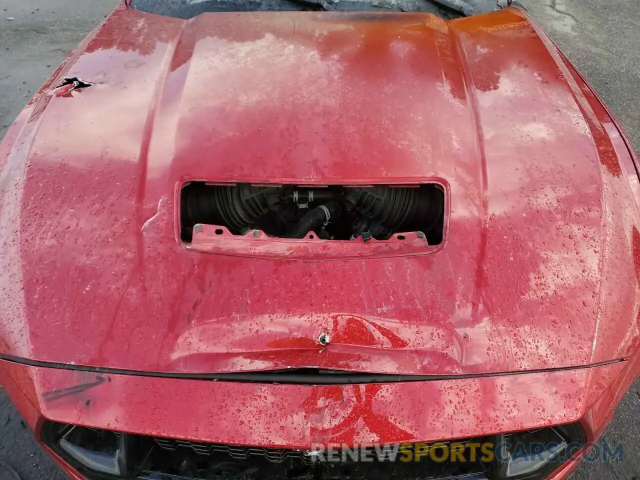 11 Photograph of a damaged car 1FA6P8CF3R5406428 FORD MUSTANG 2024