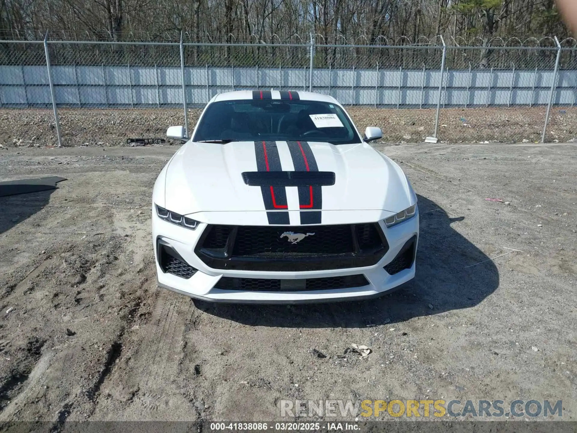 12 Photograph of a damaged car 1FA6P8CF4R5411654 FORD MUSTANG 2024