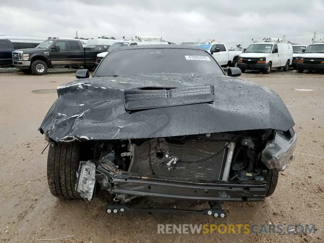 5 Photograph of a damaged car 1FA6P8CF4R5428499 FORD MUSTANG 2024