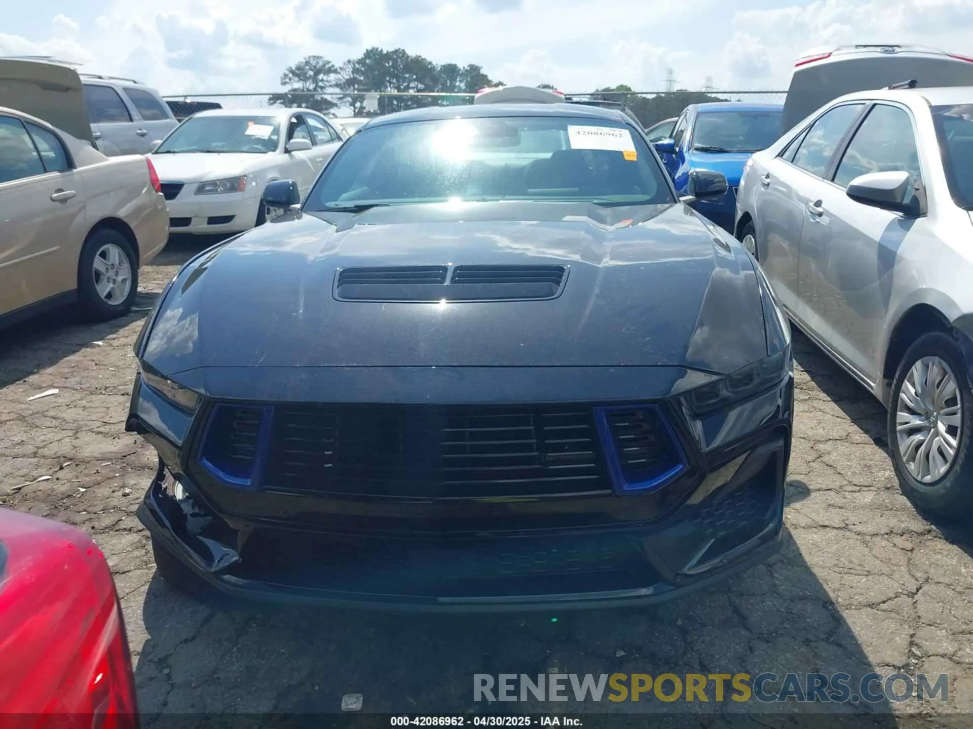 12 Photograph of a damaged car 1FA6P8CF6R5419464 FORD MUSTANG 2024