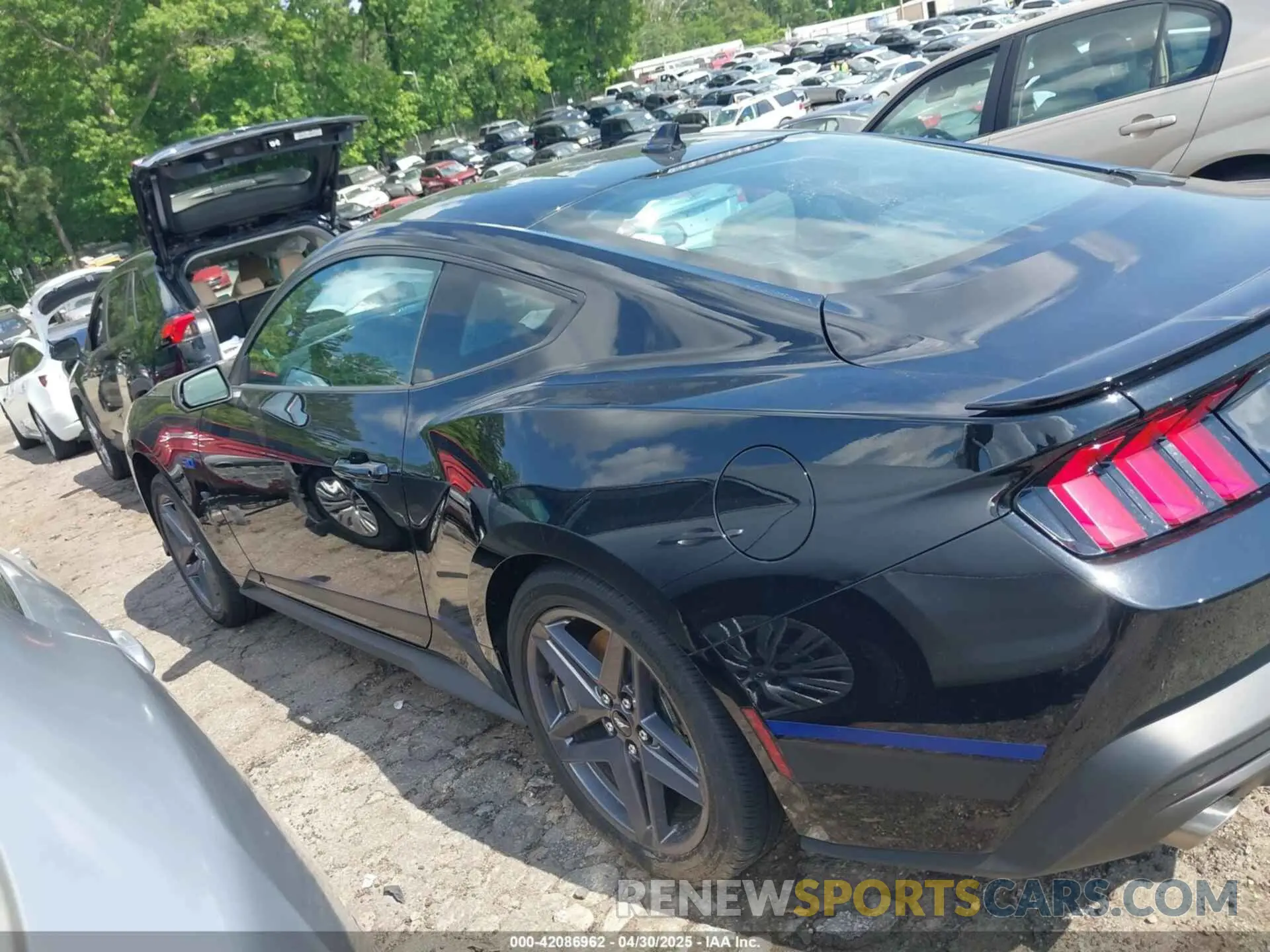 14 Photograph of a damaged car 1FA6P8CF6R5419464 FORD MUSTANG 2024