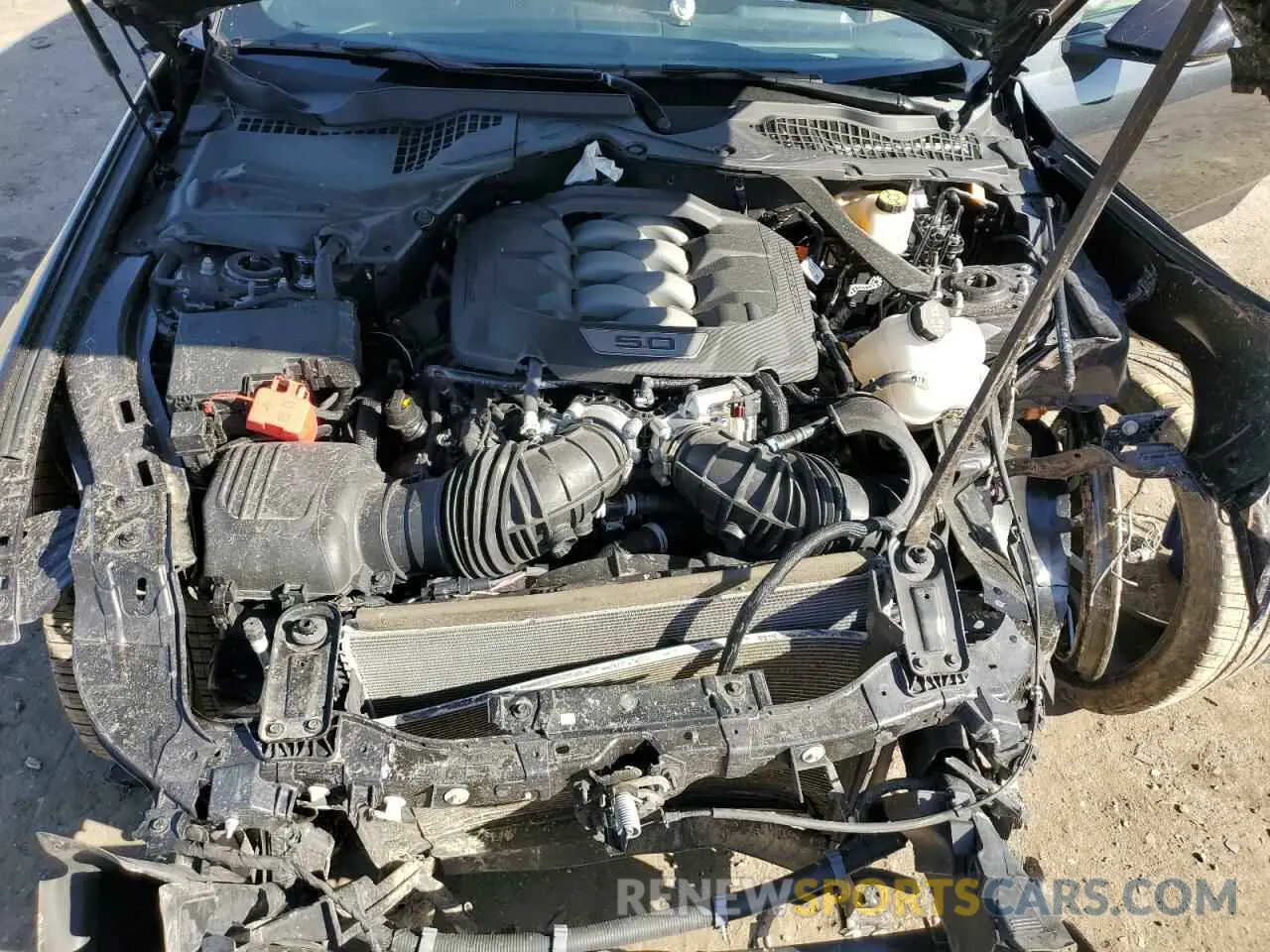 12 Photograph of a damaged car 1FA6P8CF7R5425421 FORD MUSTANG 2024