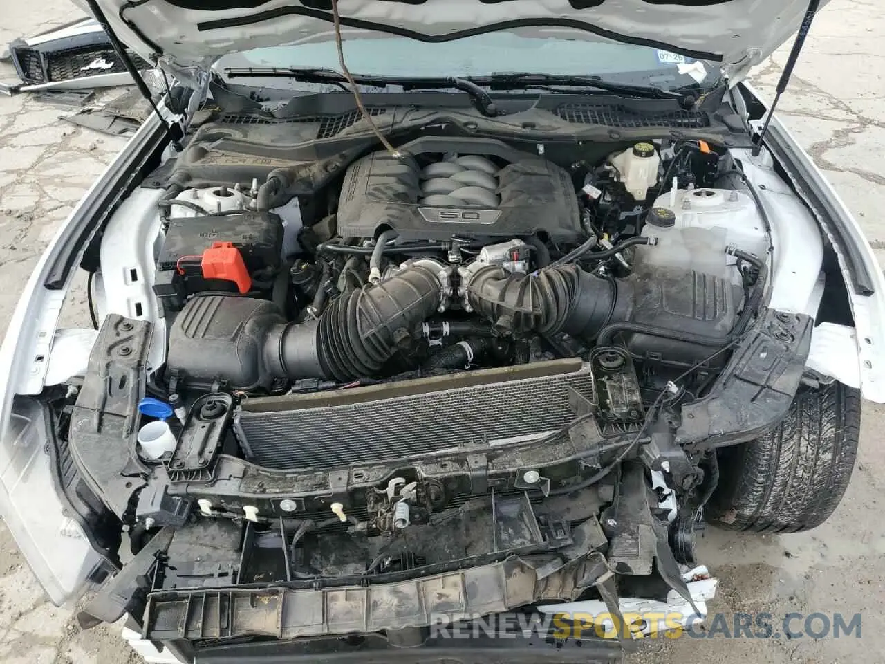 13 Photograph of a damaged car 1FA6P8CF8R5428697 FORD MUSTANG 2024