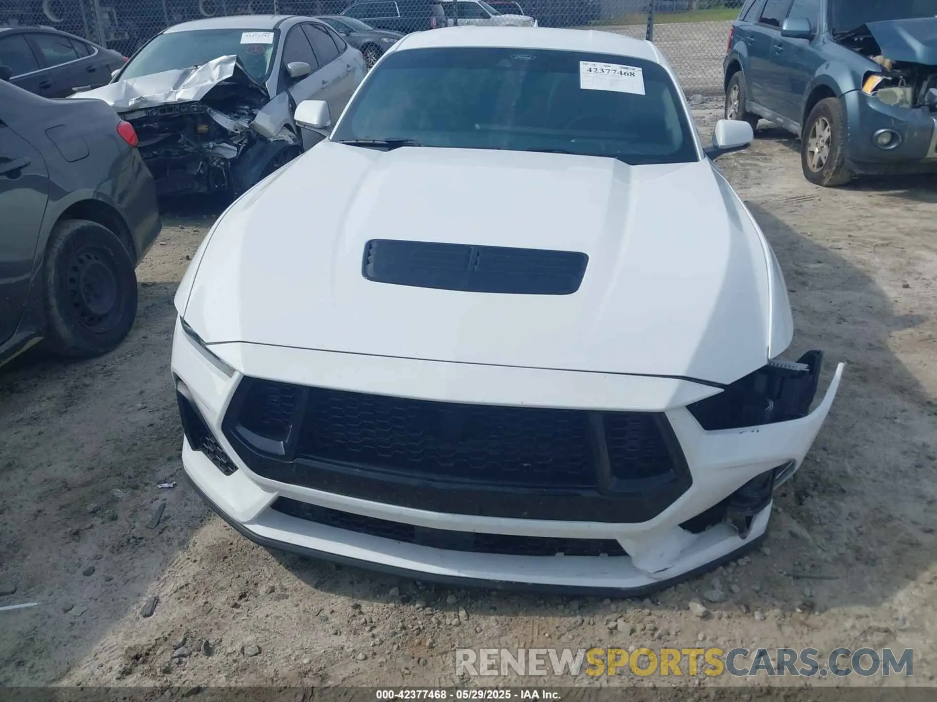 12 Photograph of a damaged car 1FA6P8CF9R5422228 FORD MUSTANG 2024
