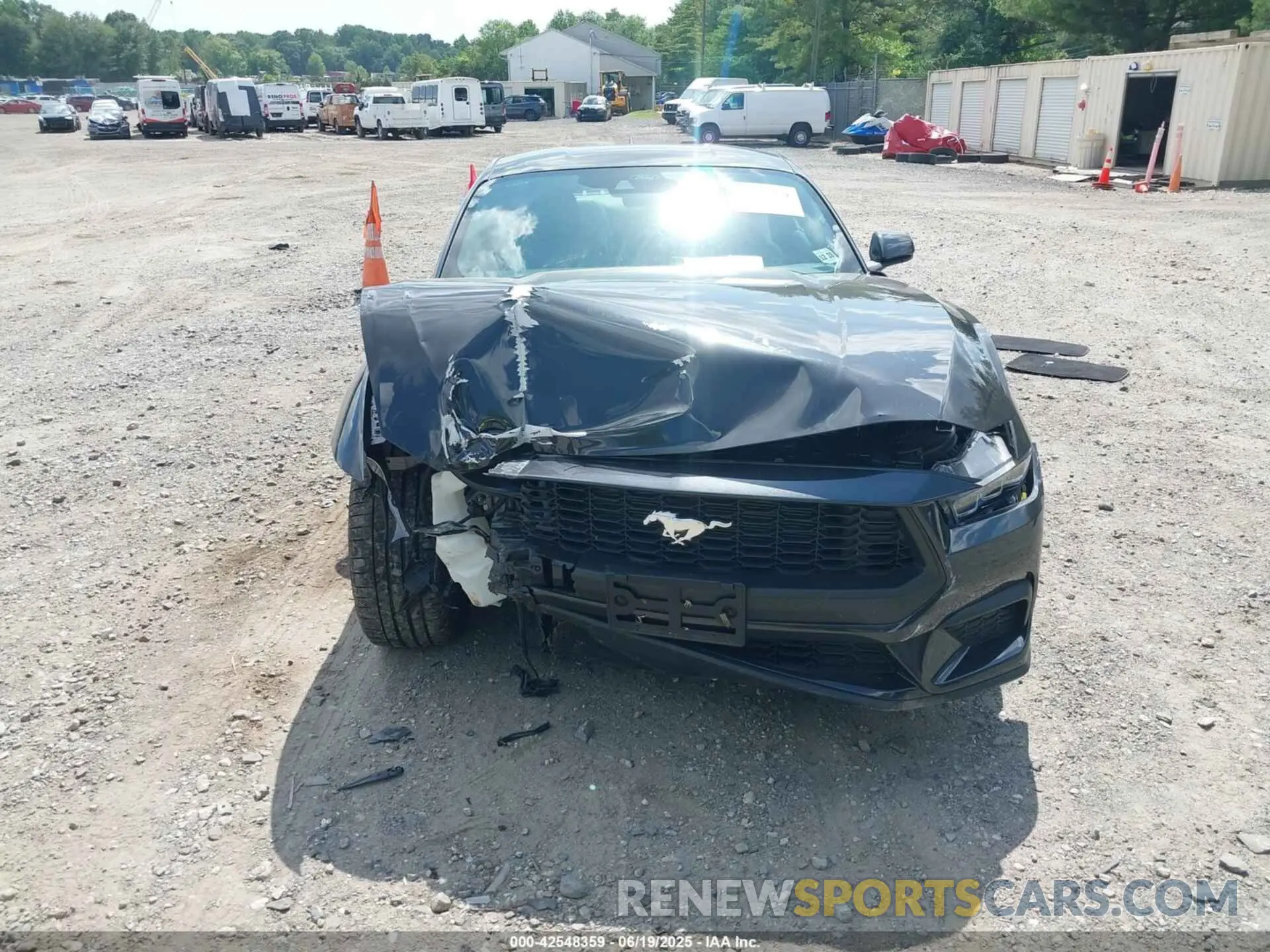 12 Photograph of a damaged car 1FA6P8TH0R5102331 FORD MUSTANG 2024