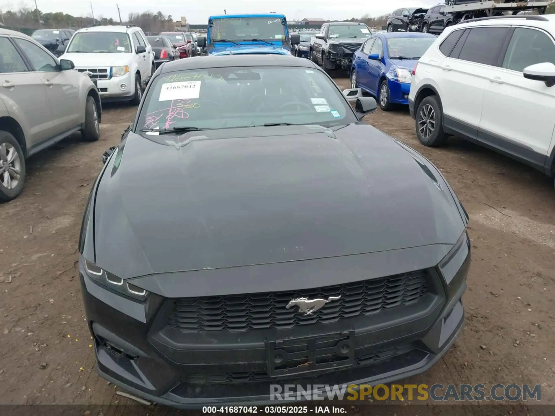 12 Photograph of a damaged car 1FA6P8TH0R5134826 FORD MUSTANG 2024